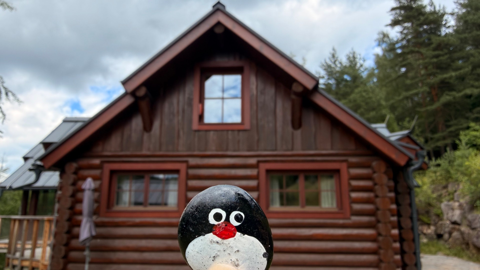 Hand-painted penguin stone #1285 hidden at Zrub na okraji lesa, Hnilcik, Slovakia (photo 1 of 5)