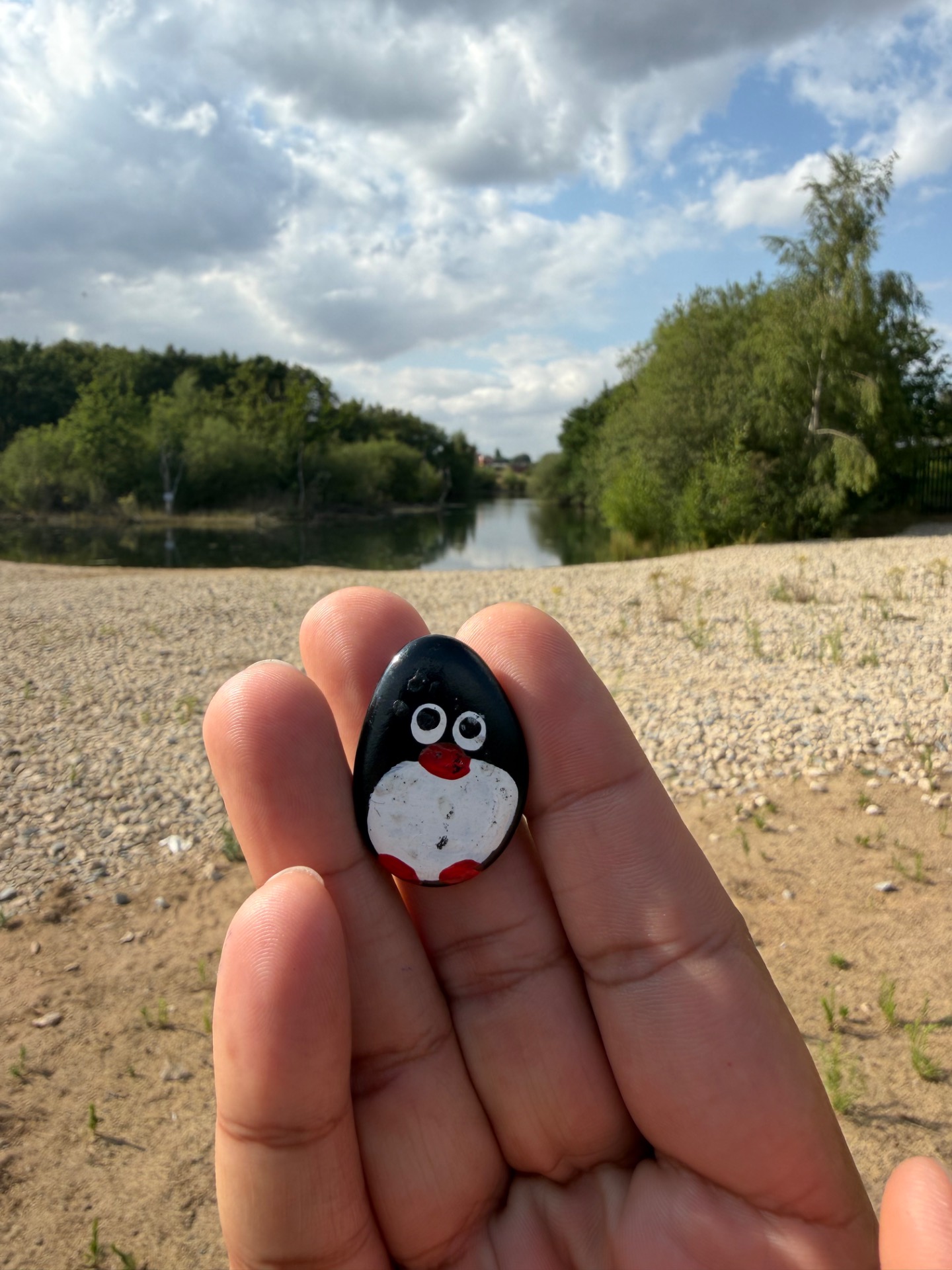 Ručne maľovaný tučniakový kameň č. 1289 ukrytý na mieste Ashby Ville Nature Reserve, Ashby, Spojené kráľovstvo (fotka 1 z 5)