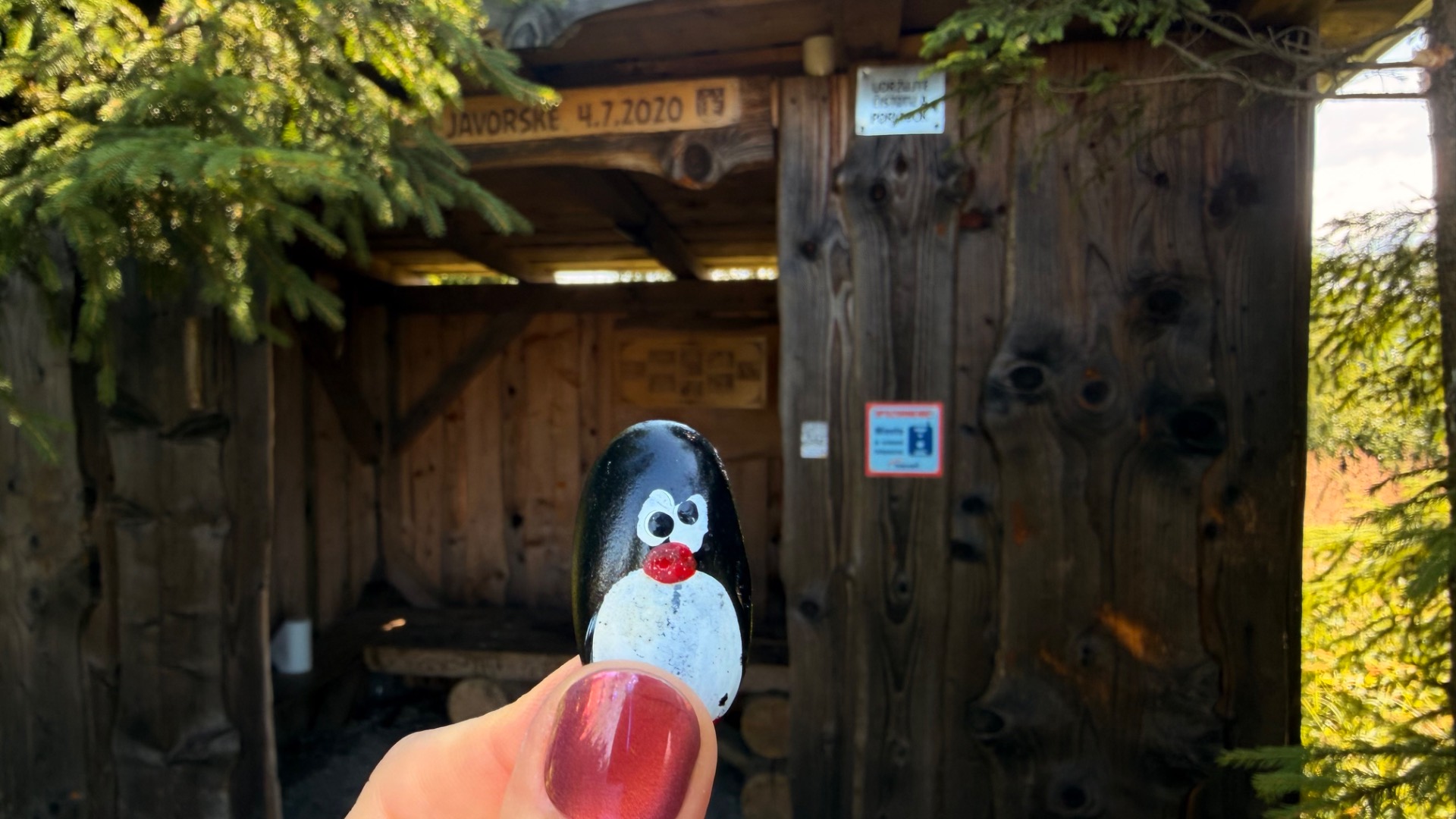 Hand-painted penguin stone #1294 hidden at Vrch Javorske Schelter, Oscadnica, Slovakia (photo 1 of 5)