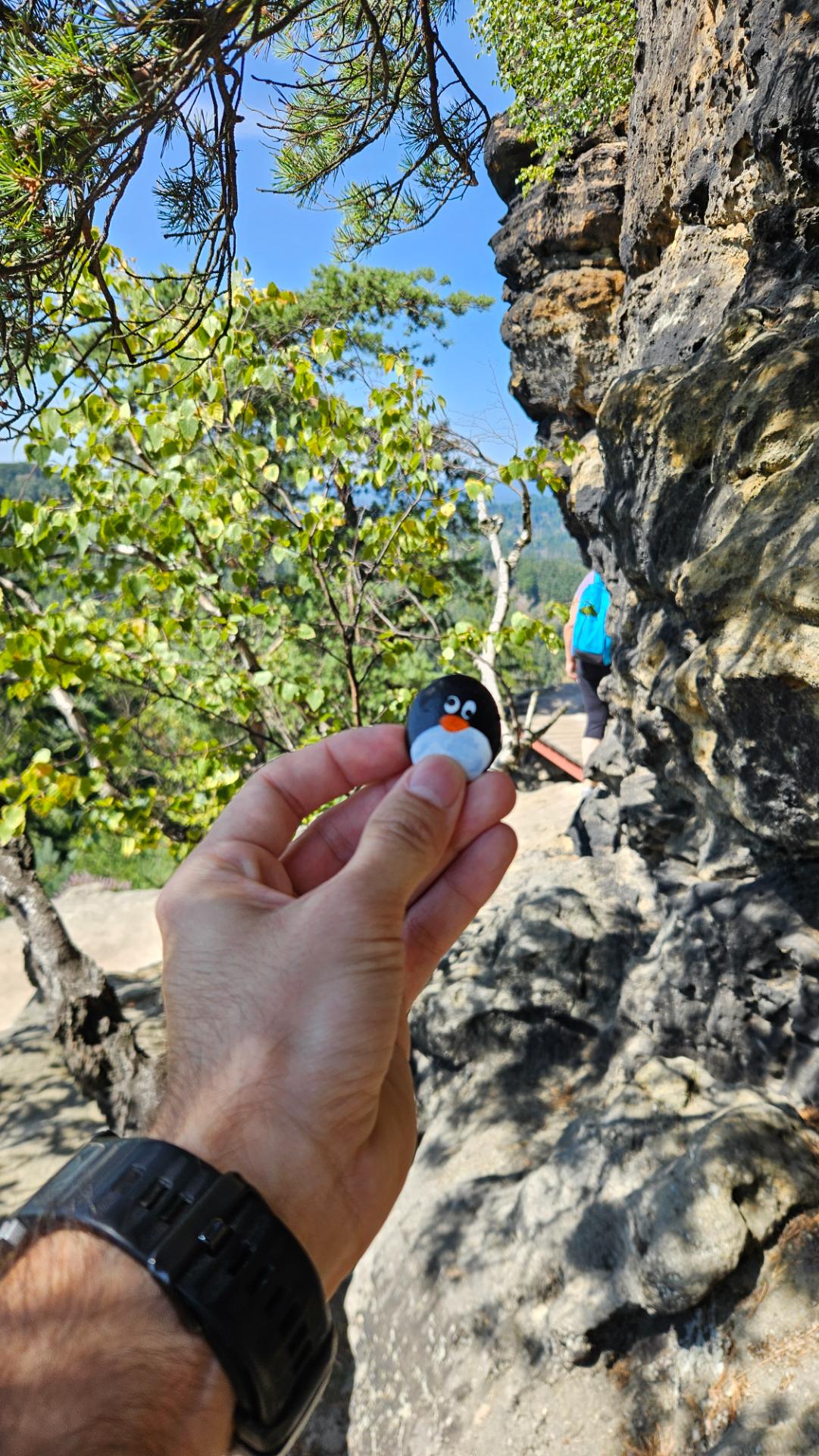 Hand-painted penguin stone #638 hidden at Rudolfuv kamen, Jetrichovice, Czechia (photo 1 of 4)