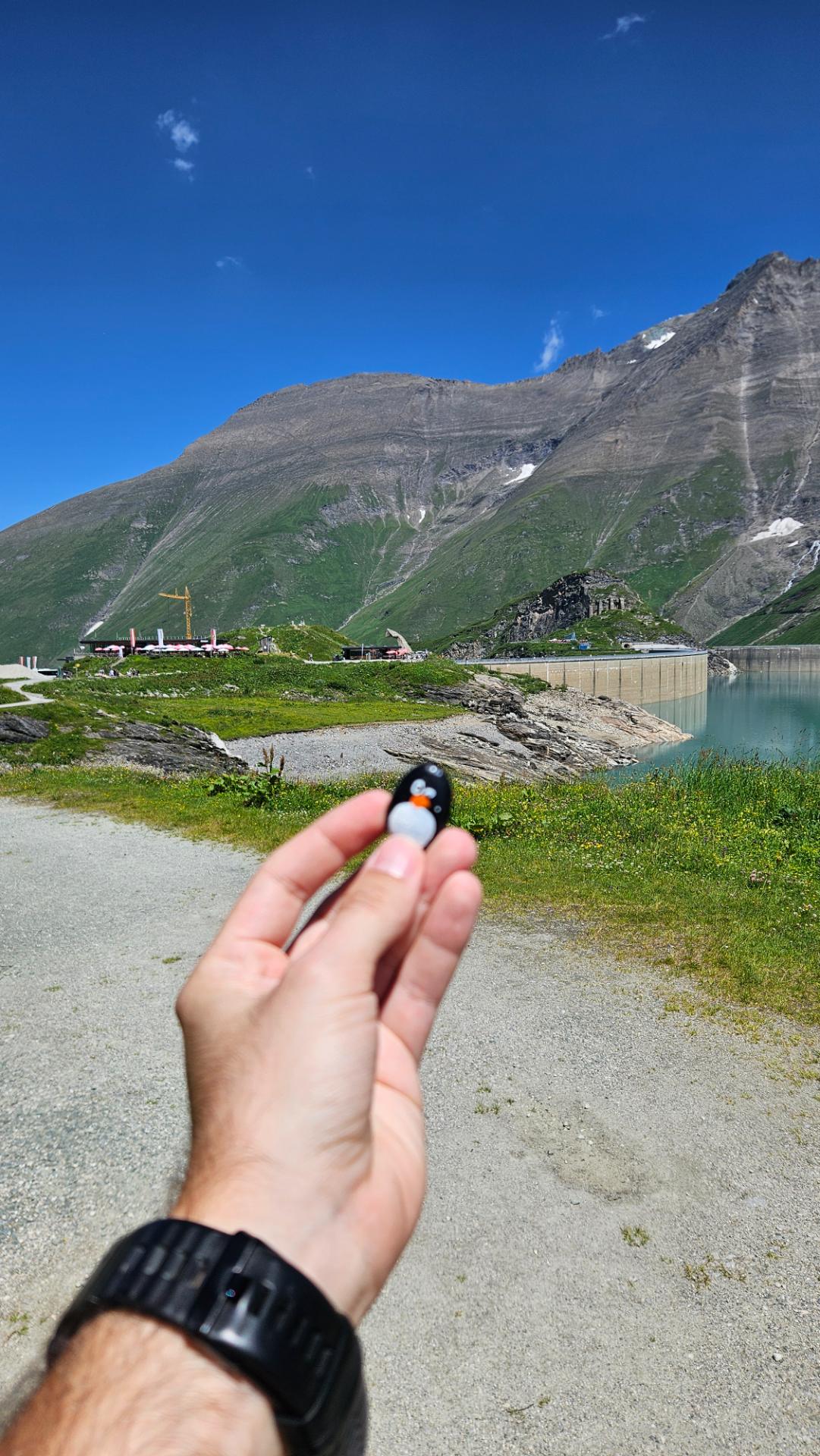 Hand-painted penguin stone #647 hidden at View Mooserboden, Mooserboden, Austria (photo 1 of 4)
