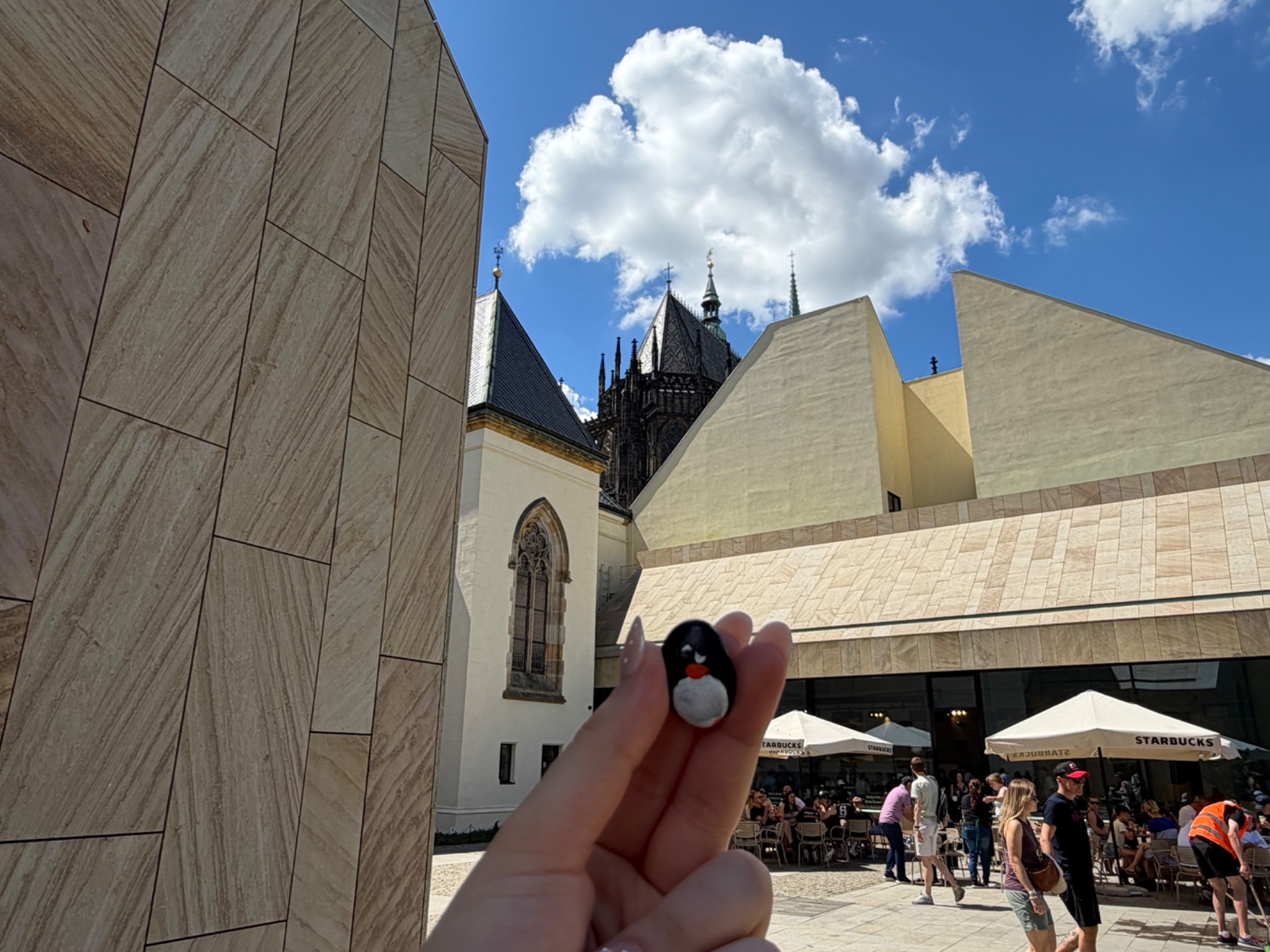 Hand-painted penguin stone #653 hidden at Prague castle, Prague, Czechia (photo 1 of 3)