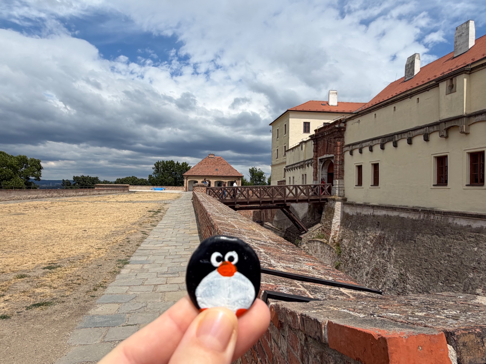 Hand-painted penguin stone #655 hidden at Spilberk Castle, Brno, Czechia (photo 1 of 5)