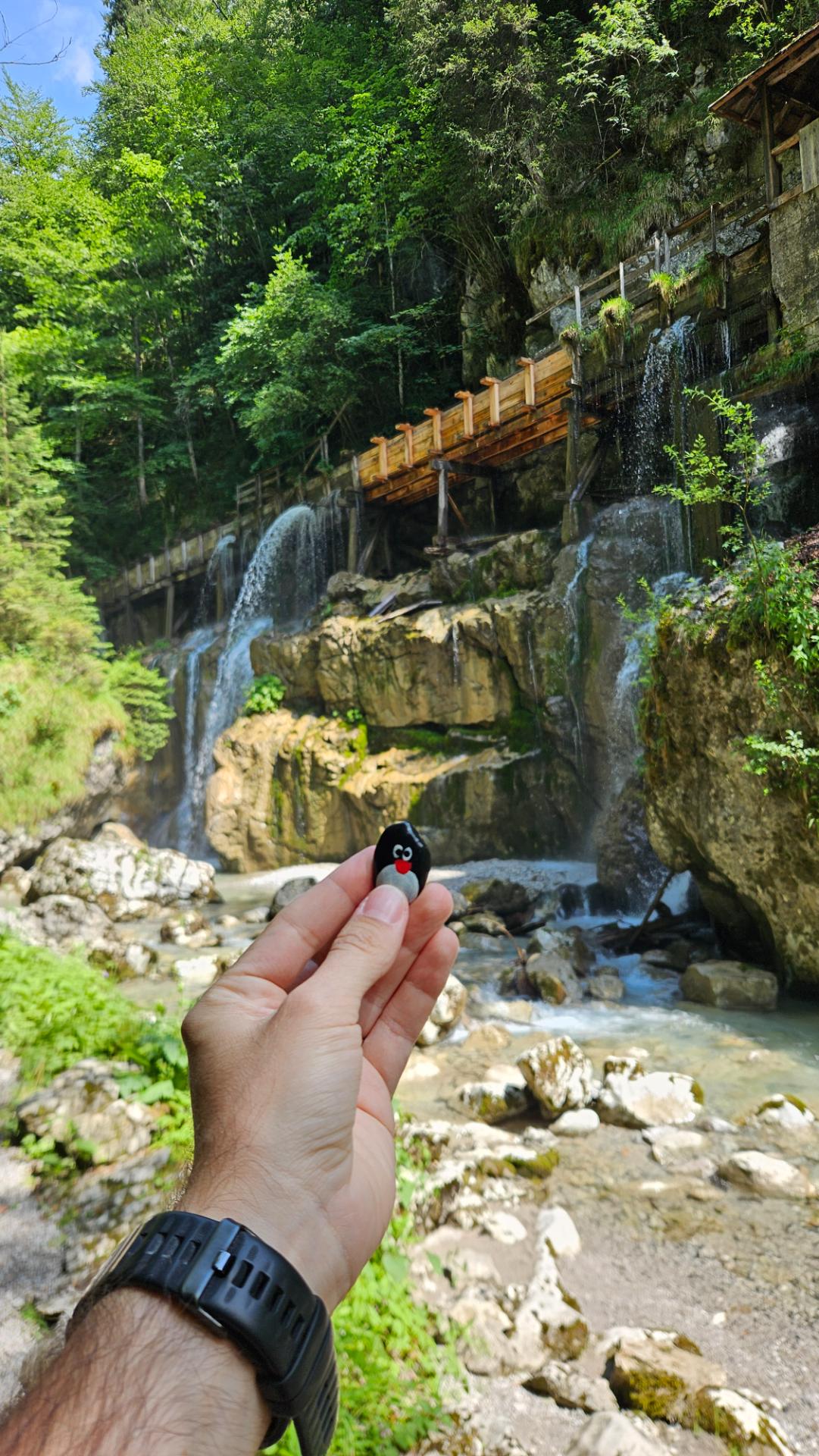 Hand-painted penguin stone #672 hidden at Seisenbergklamm, Weissbach bei Lofer, Austria (photo 1 of 4)