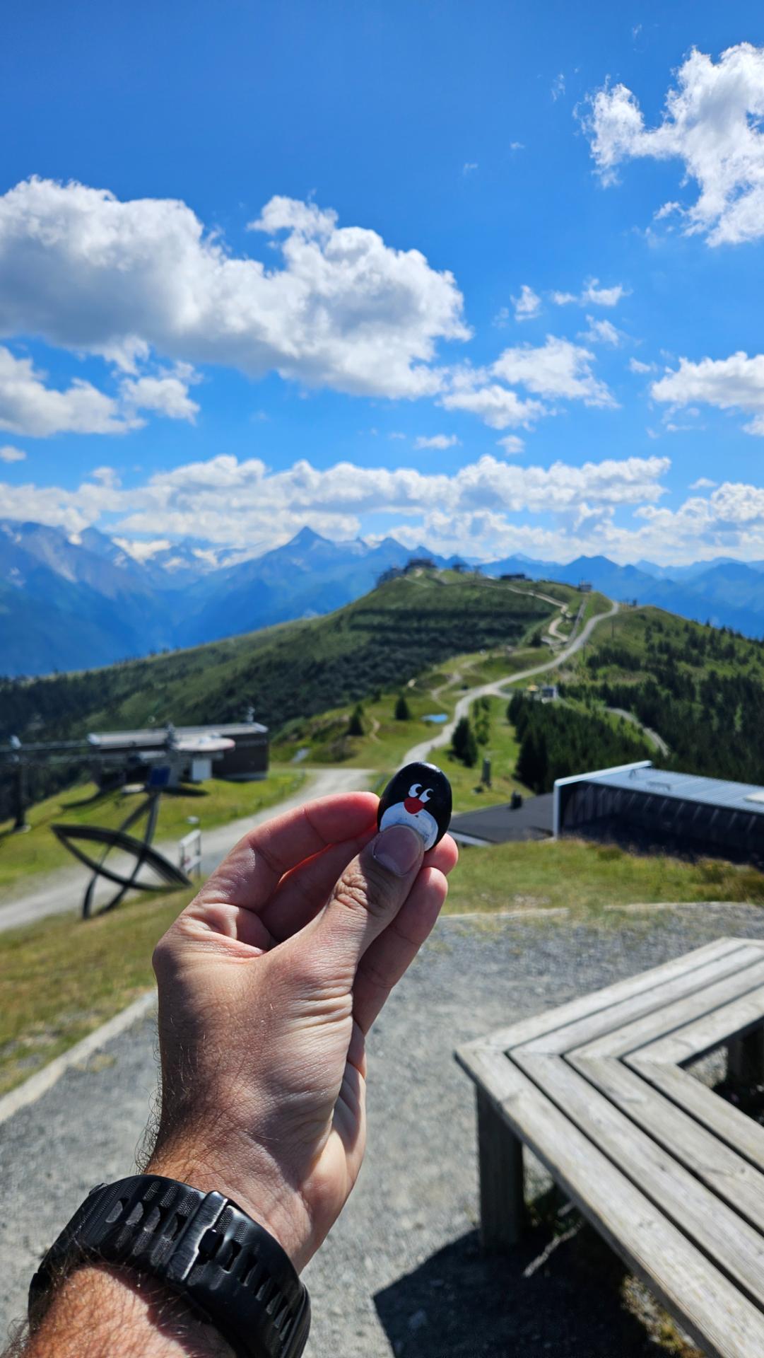 Hand-painted penguin stone #673 hidden at Salersbachkopfl (1934 m), Zell am See, Austria (photo 1 of 4)