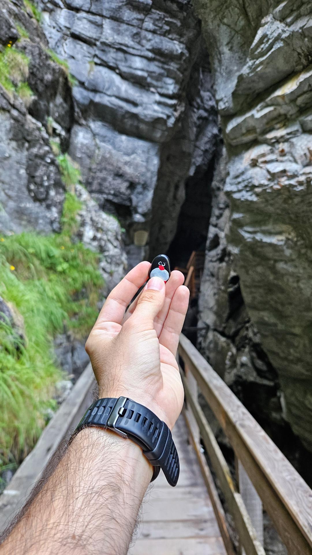 Hand-painted penguin stone #677 hidden at Vorderkaserklamm, Vorderkaserklamm, Austria (photo 1 of 5)