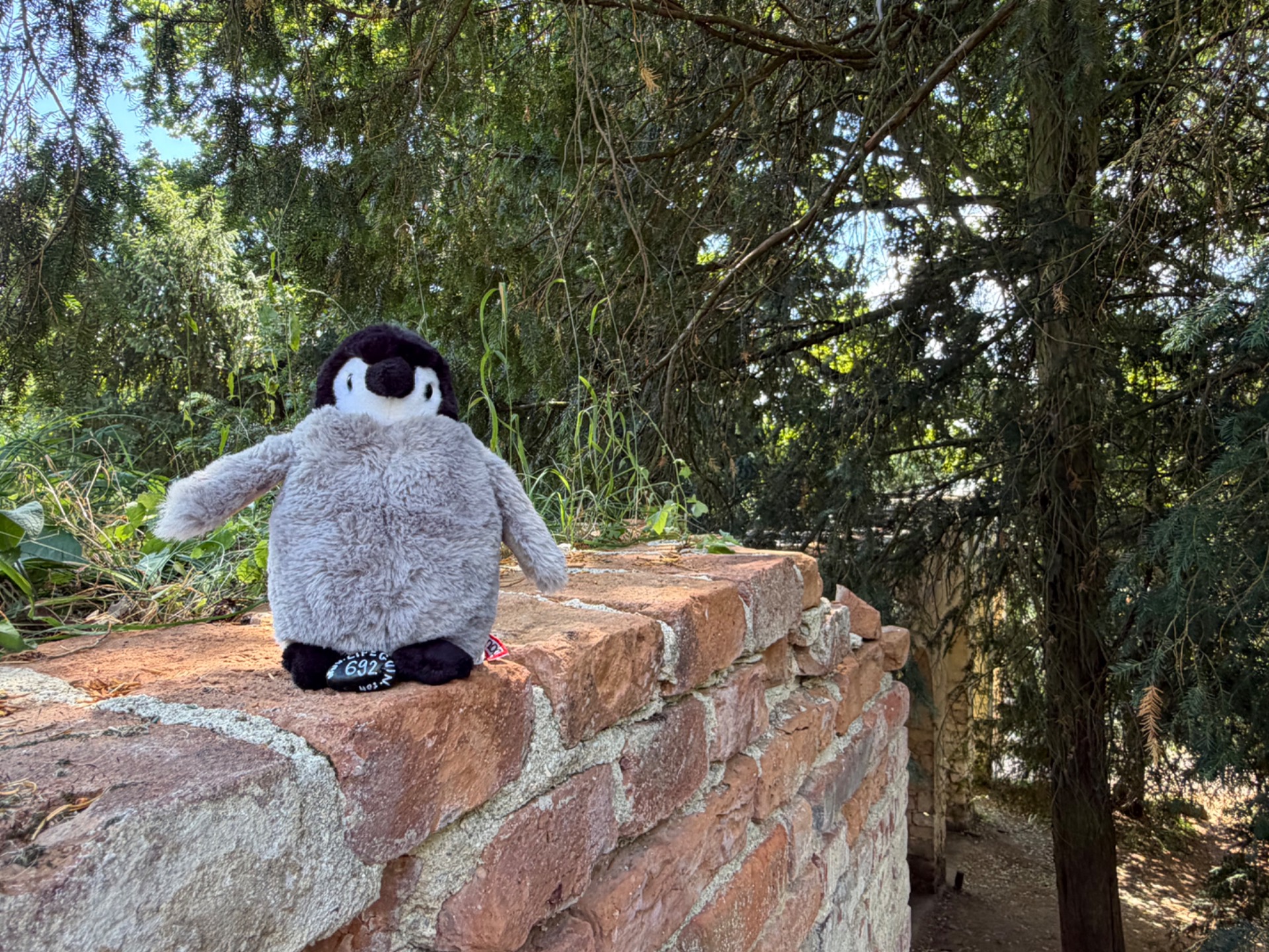 Hand-painted penguin stone #692 hidden at Zamecky Rybnik, Jeskyne Peklo, Lednice, Czechia (photo 1 of 5)
