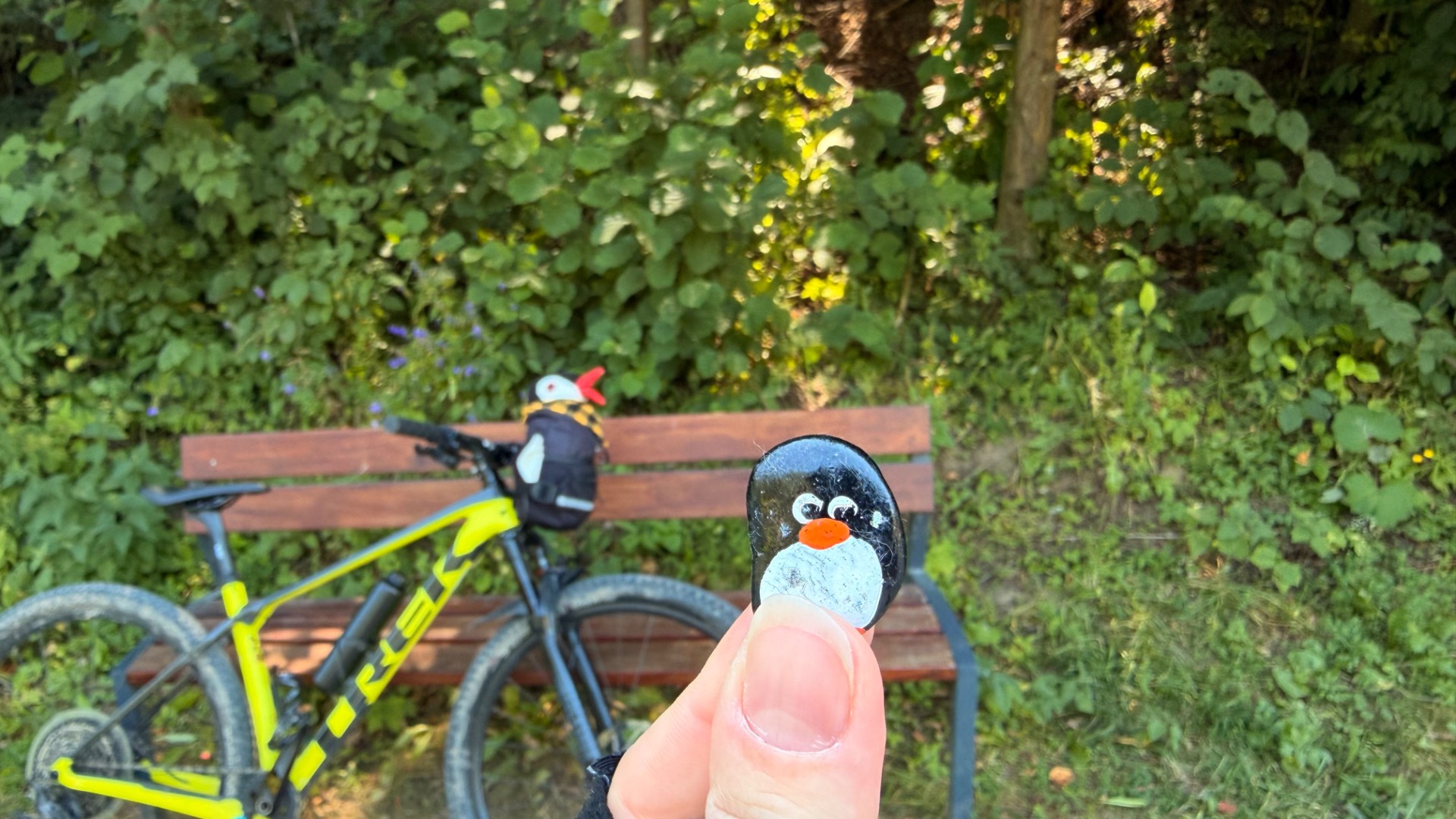 Hand-painted penguin stone #1151 hidden at Tree Behind Bench, Hniezdne, Slovakia (photo 1 of 4)