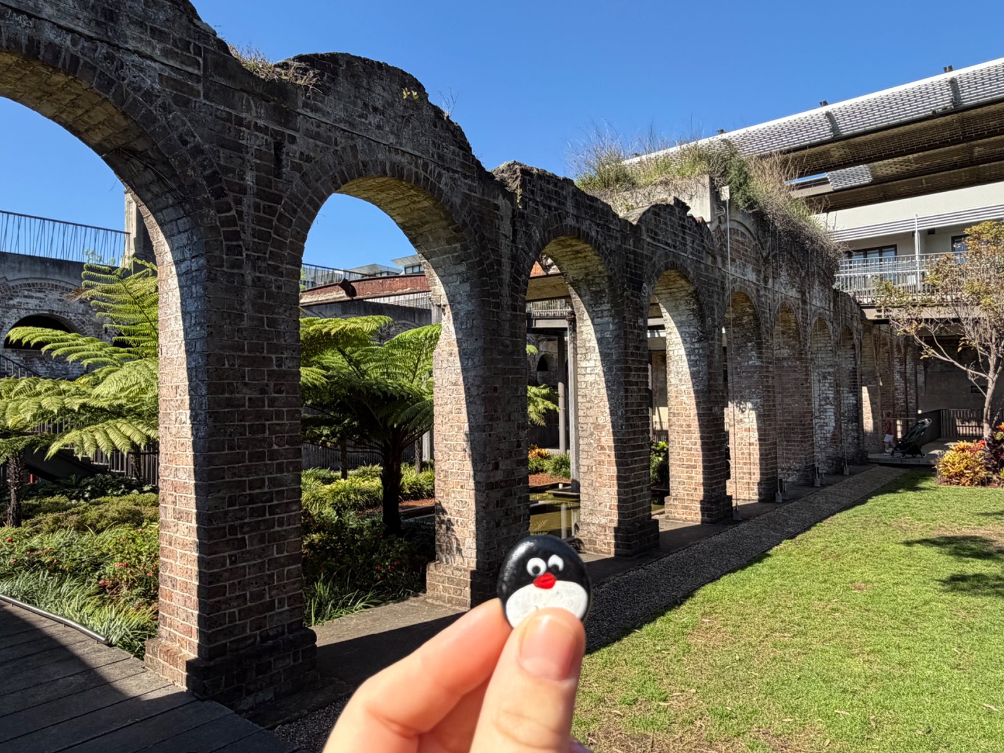 Hand-painted penguin stone #1231 hidden at Paddington Reservoir Gardens, Sydney, Australia (photo 1 of 5)