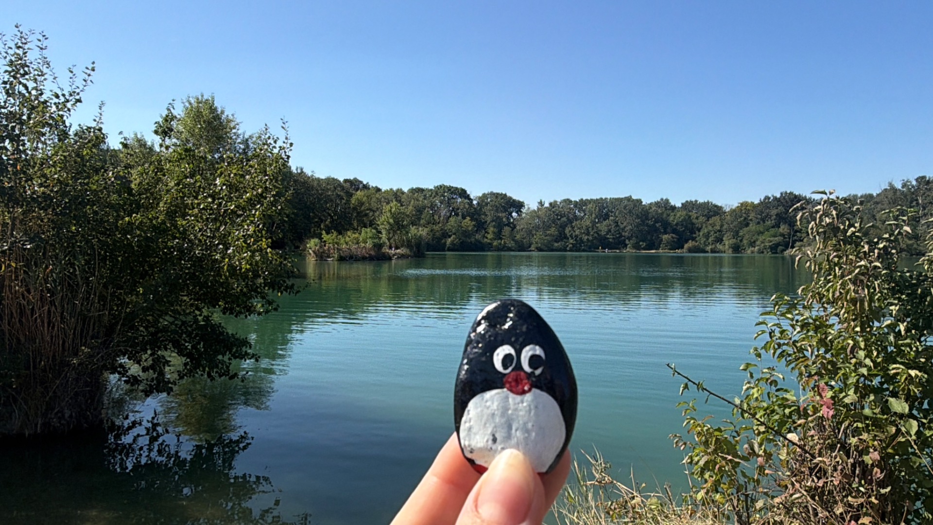 Ručne maľovaný tučniakový kameň č. 1312 ukrytý na mieste Lake Rusovce, Rusovce, Slovensko (fotka 1 z 4)