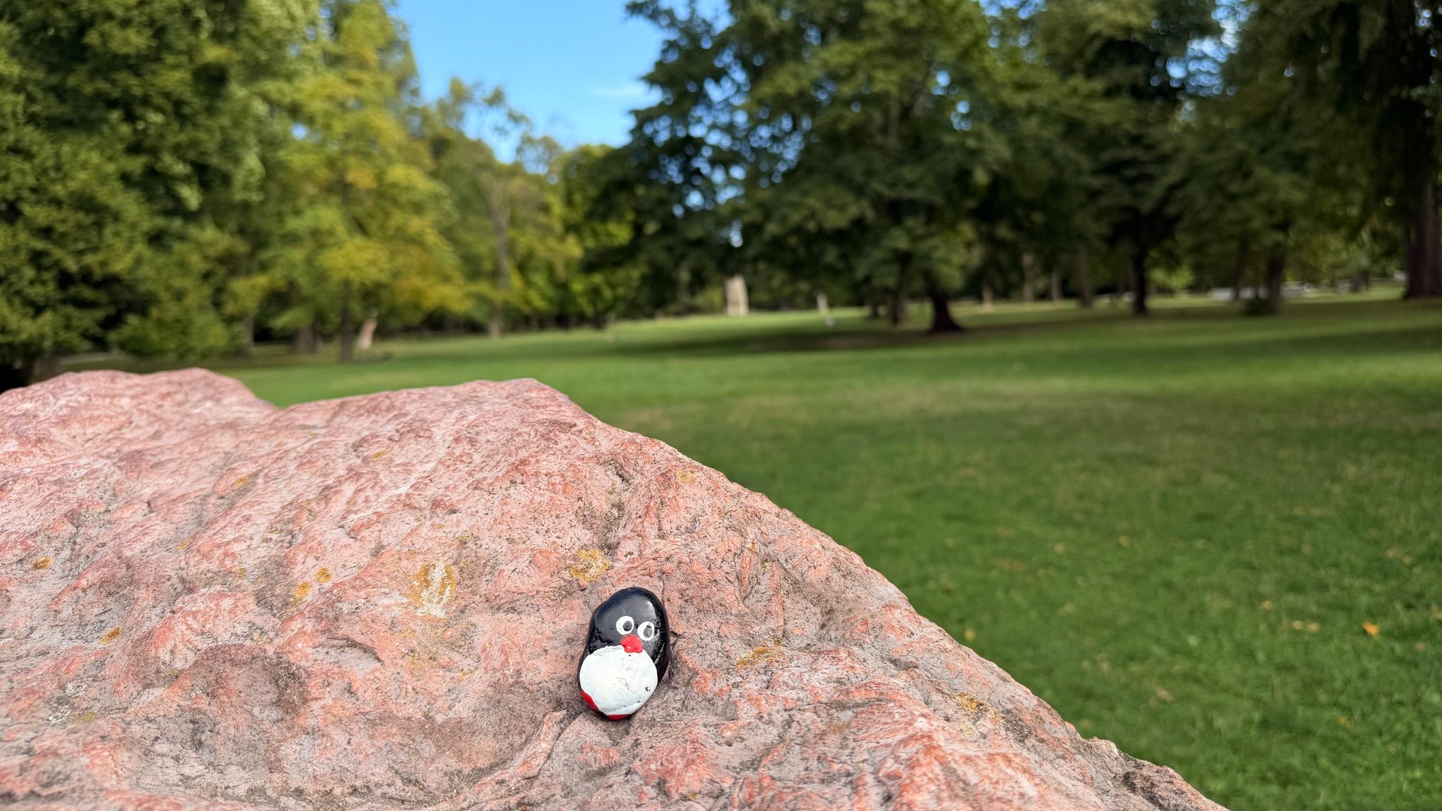 Hand-painted penguin stone #1316 hidden at Tree Trunk Sad Janka Krala, Bratislava, Slovakia (photo 1 of 5)
