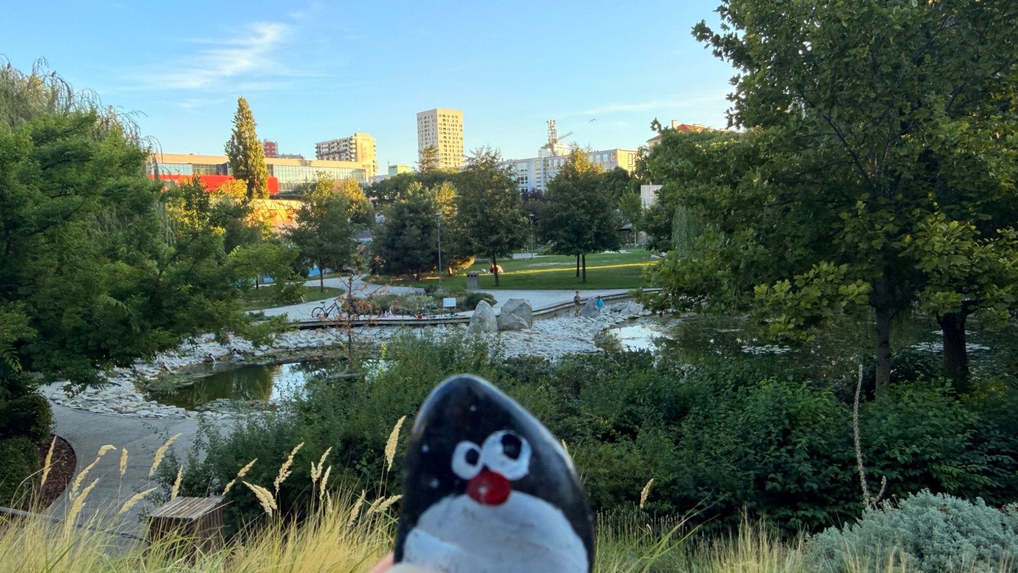 Hand-painted penguin stone #1636 hidden at Jama Park, Bratislava, Slovakia (photo 1 of 5)
