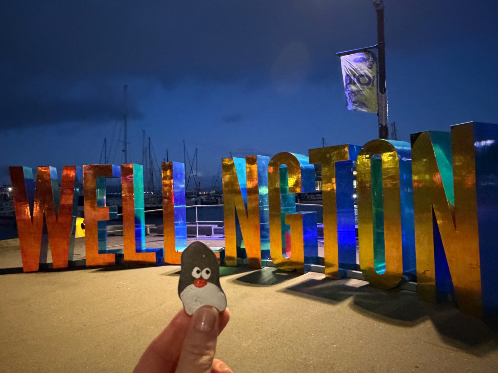 Hand-painted penguin stone #2347 hidden at Wellington Sign, Wellington, New Zealand (photo 1 of 3)