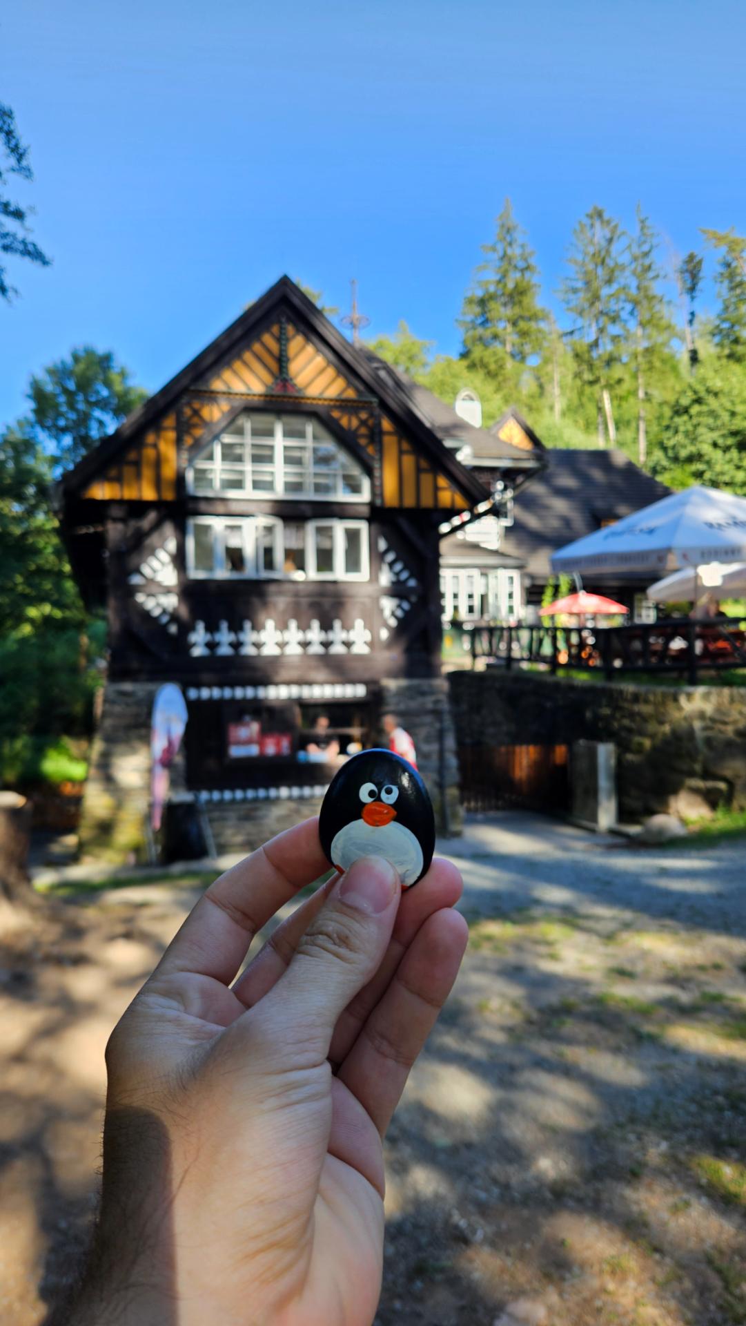 Hand-painted penguin stone #641 hidden at Peklo, Nove Mesto nad Metuji, Czechia (photo 1 of 5)