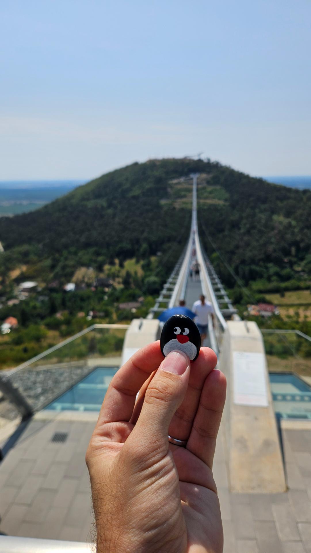 Hand-painted penguin stone #671 hidden at Bridge Nemzeti ossetartozas hidja, Satoraljaujhely, Hungary (photo 1 of 5)