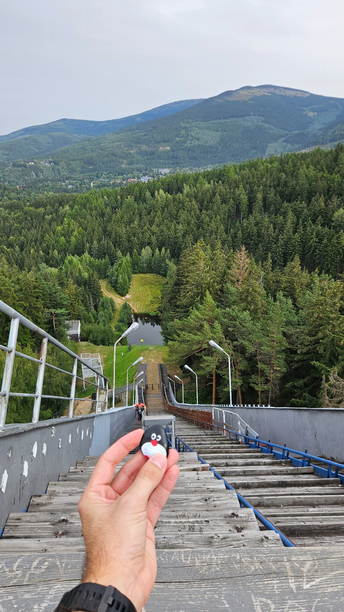 Hand-painted penguin stone #693 hidden at Ski jumping, Karpacz, Poland (photo 1 of 4)
