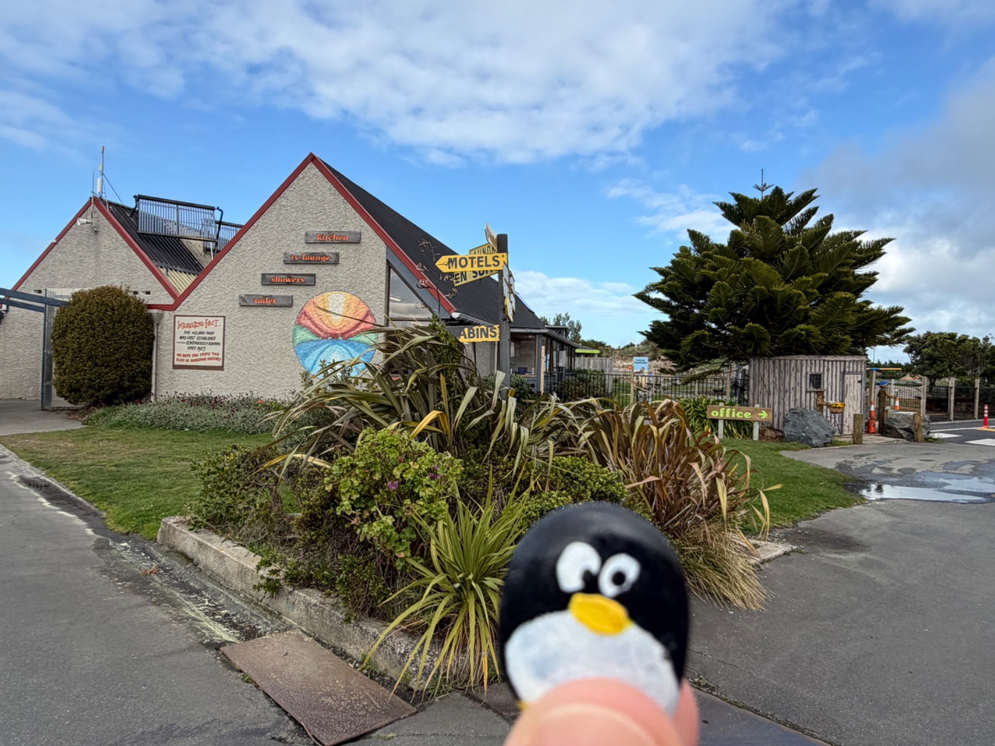 Hand-painted penguin stone #1021 hidden at Dunedin Holiday Park & Motels, Dunedin, New Zealand (photo 1 of 4)