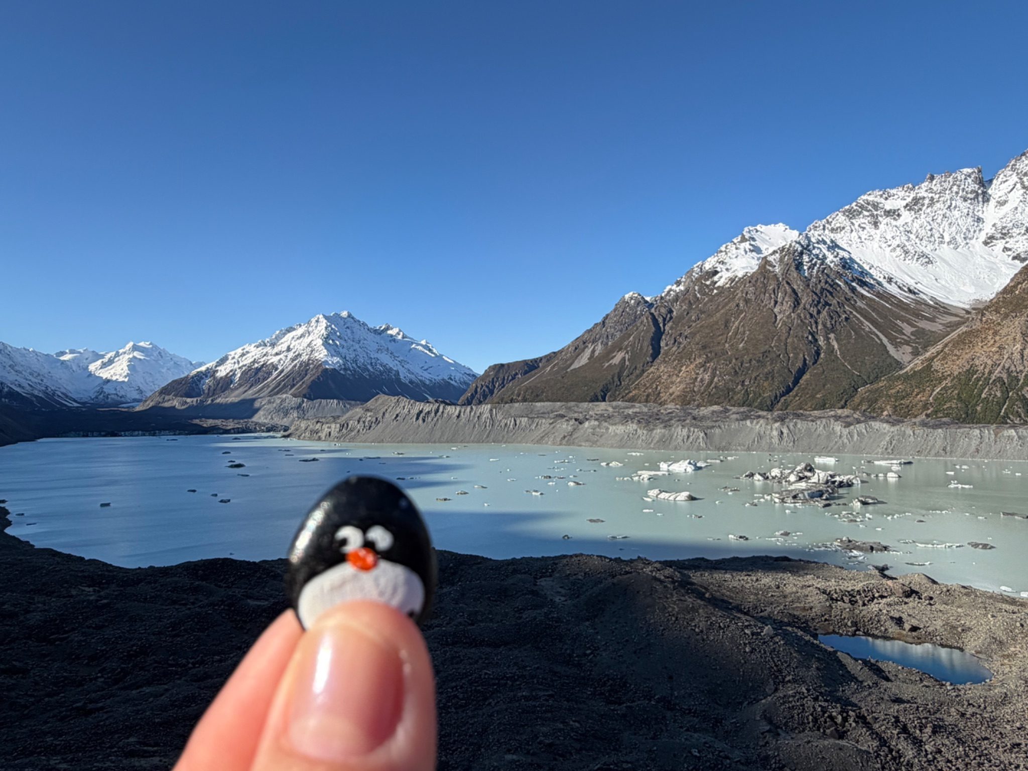 Hand-painted penguin stone #1084 hidden at Tasman Glacier View, Aoraki/Mount Cook National Park, New Zealand (photo 1 of 5)