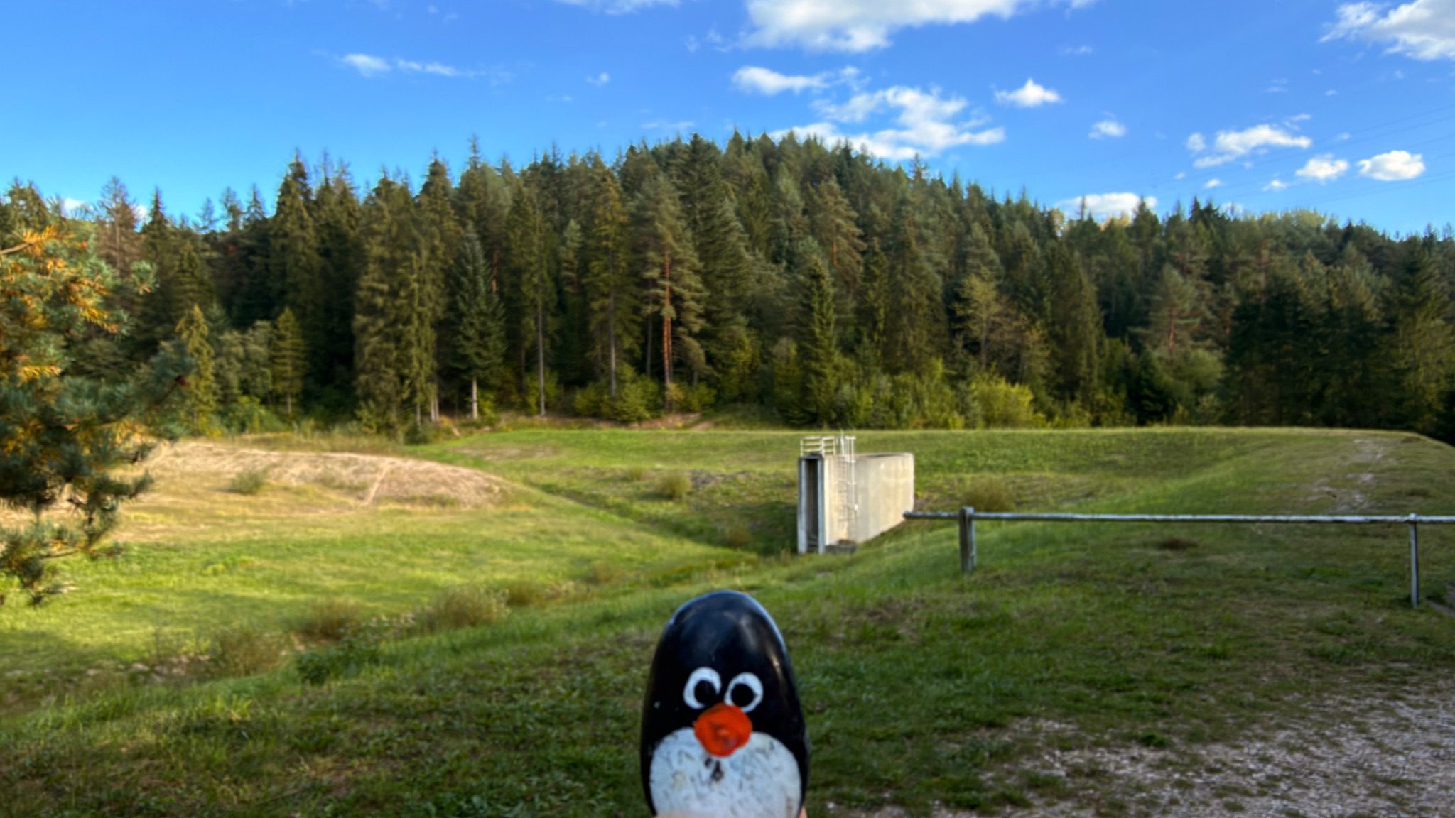 Ručne maľovaný tučniakový kameň č. 1121 ukrytý na mieste Bench, Chmeľnica, Slovensko (fotka 1 z 5)