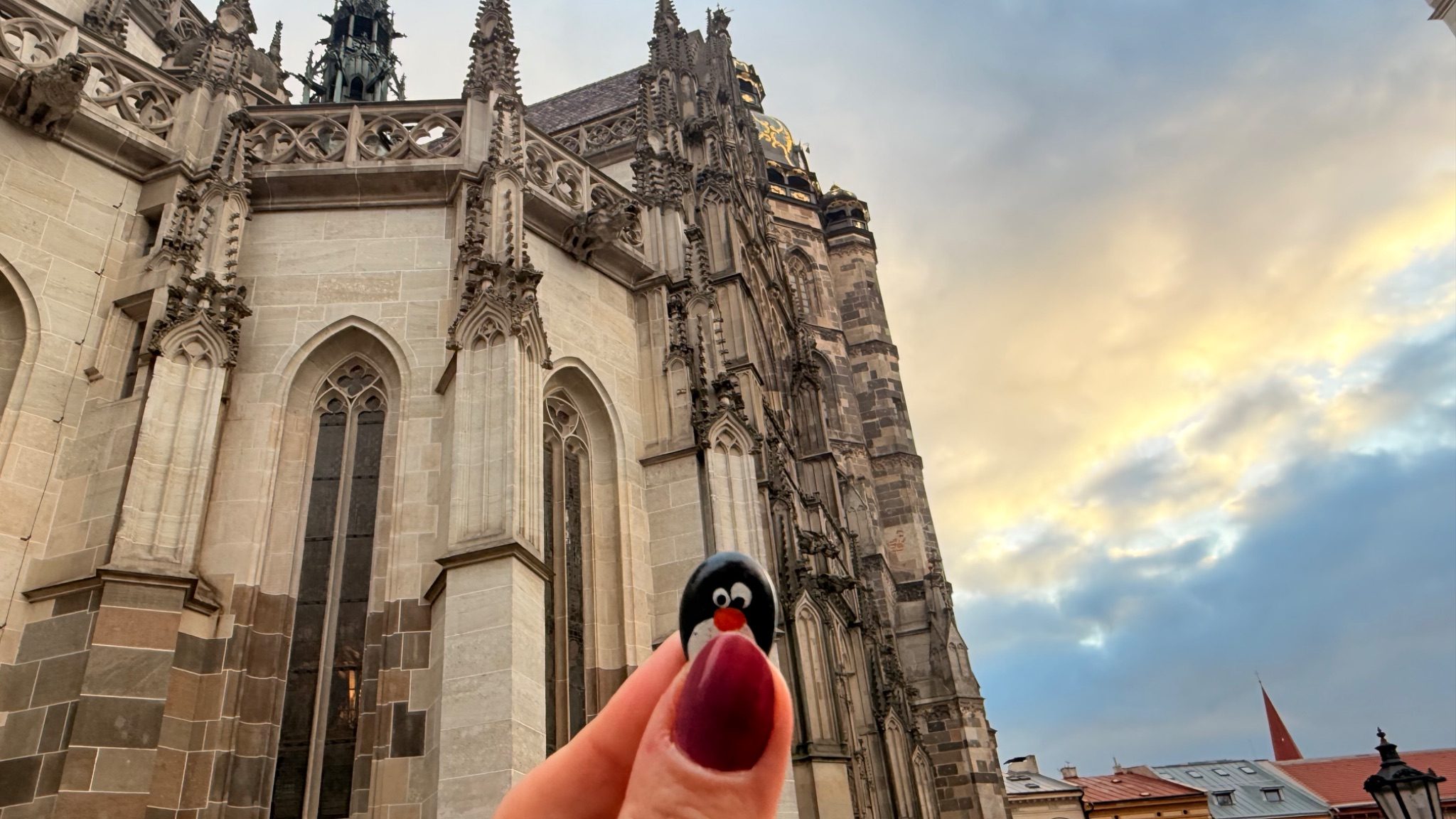 Hand-painted penguin stone #1124 hidden at Stone Wall, Kosice, Slovakia (photo 1 of 5)