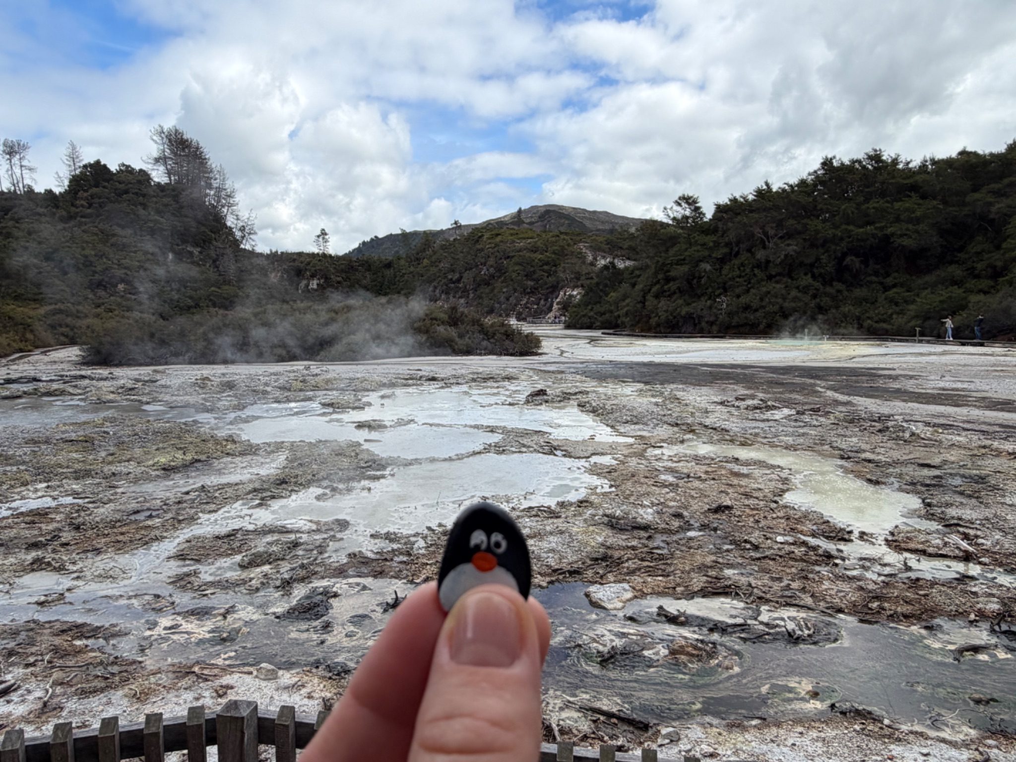 Hand-painted penguin stone #1142 hidden at Waiotapu Thermal Wonderland, Waiopatu, New Zealand (photo 1 of 5)