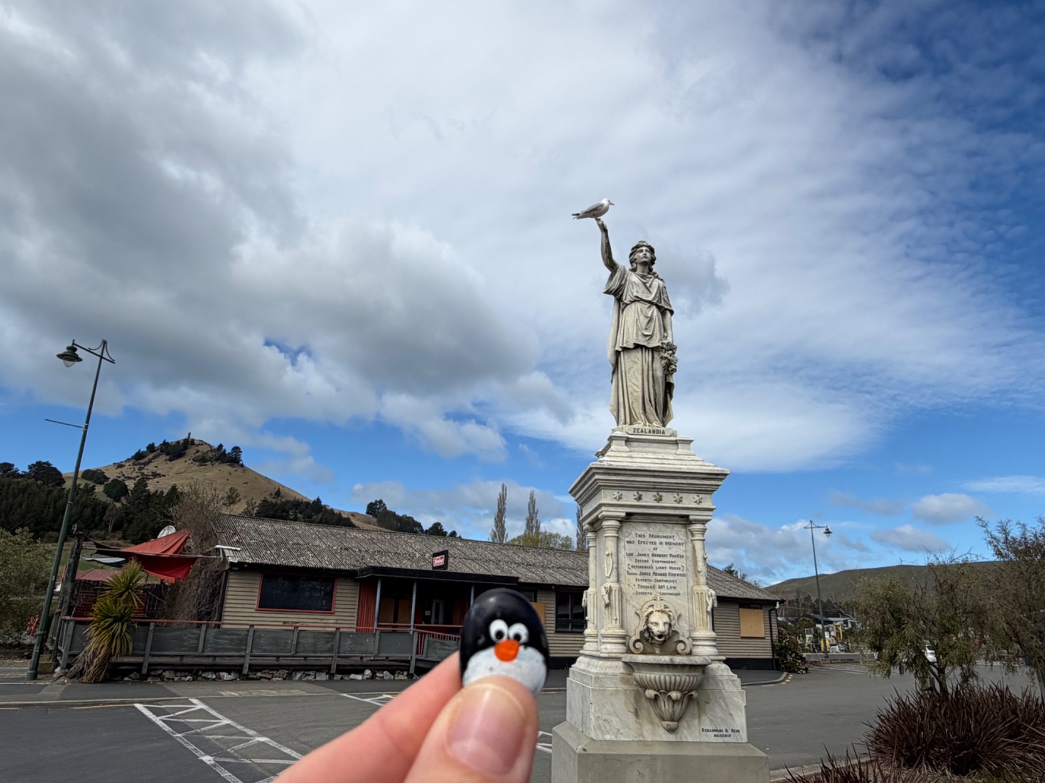 Hand-painted penguin stone #1164 hidden at Monument, Palmerston, New Zealand (photo 1 of 5)