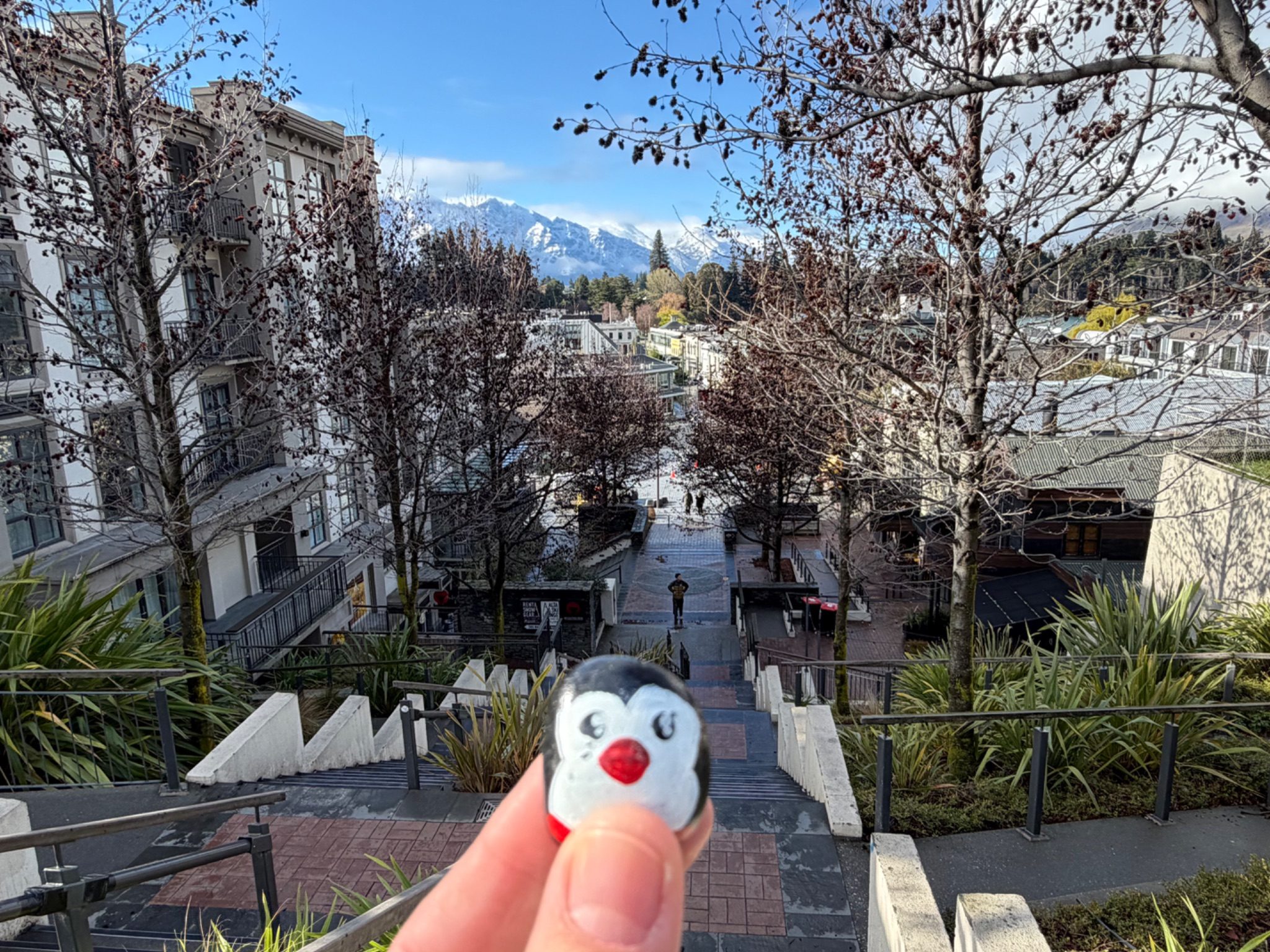 Hand-painted penguin stone #1226 hidden at Brecon st. Queenstown, Queenstown, New Zealand (photo 1 of 4)