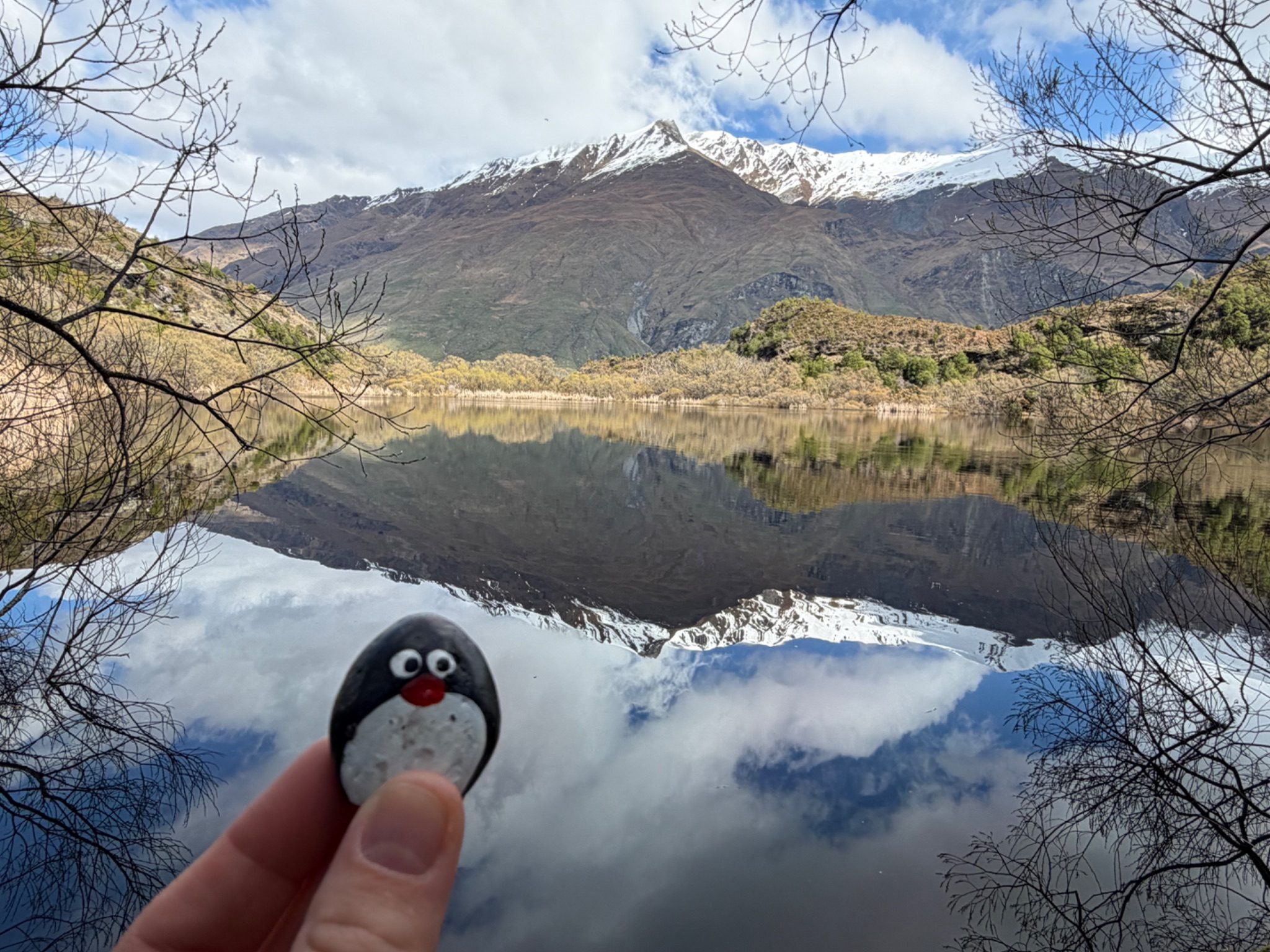 Hand-painted penguin stone #1278 hidden at Diamond Lake, Close to Wanaka, New Zealand (photo 1 of 5)