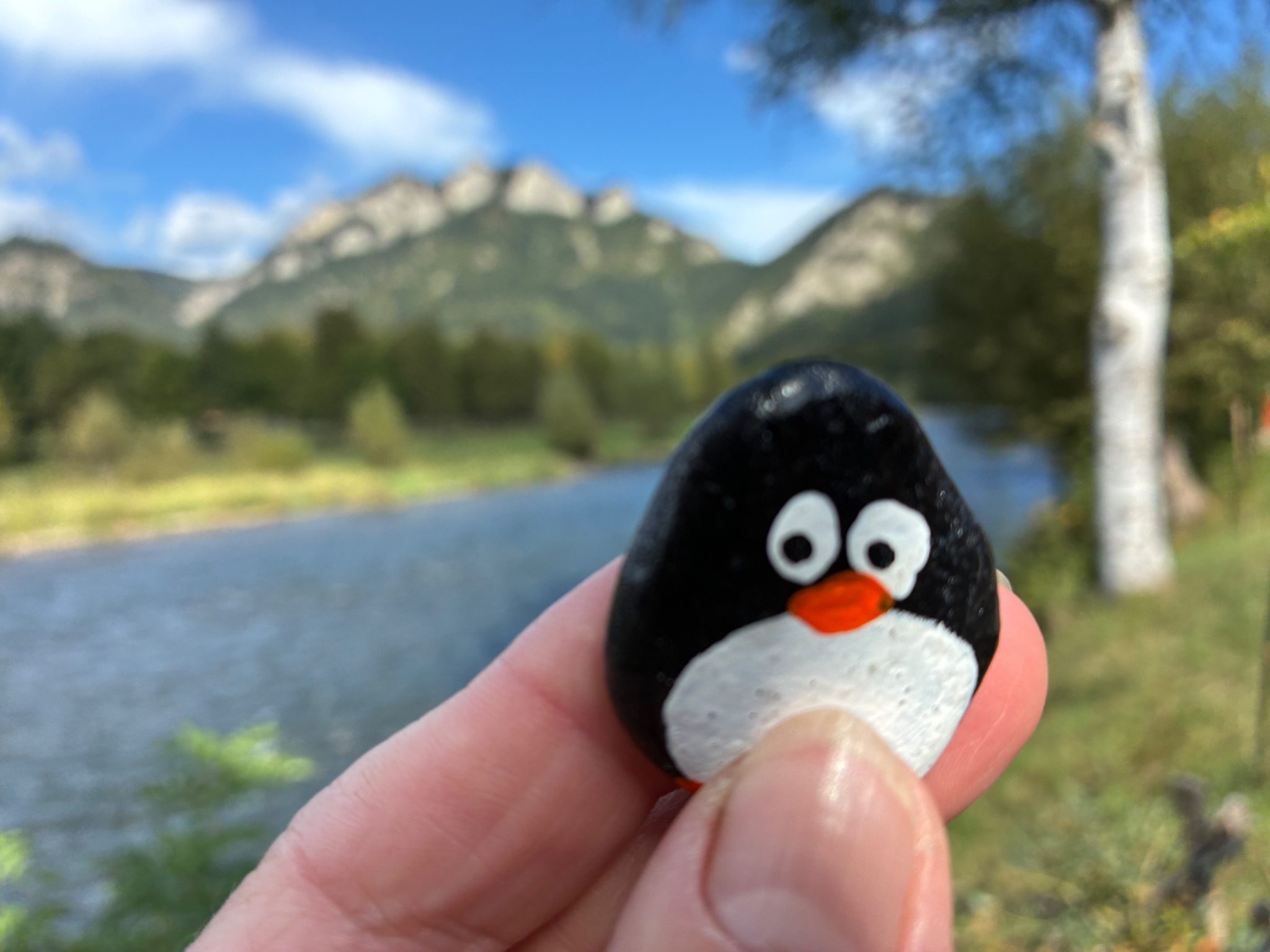 Hand-painted penguin stone #1332 hidden at Border Bridge Wooden Sculptures, Cerveny Klastor, Slovakia (photo 1 of 5)