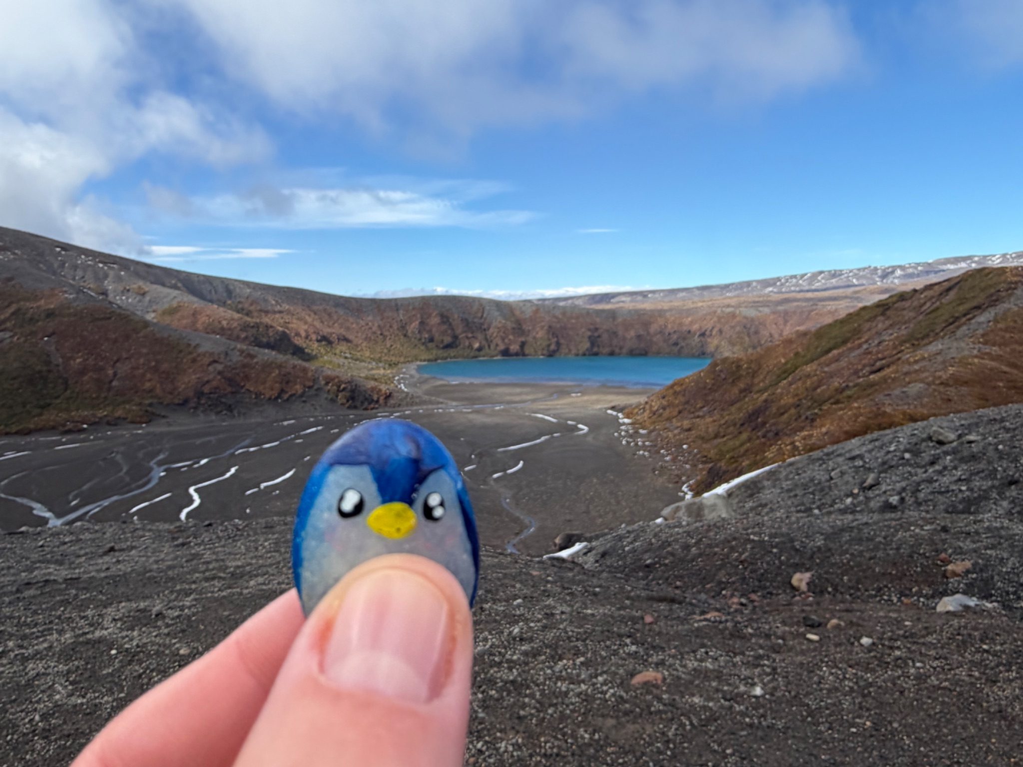Hand-painted penguin stone #1386 hidden at Lower Tama Lake, Tongariro National Park, New Zealand (photo 1 of 5)