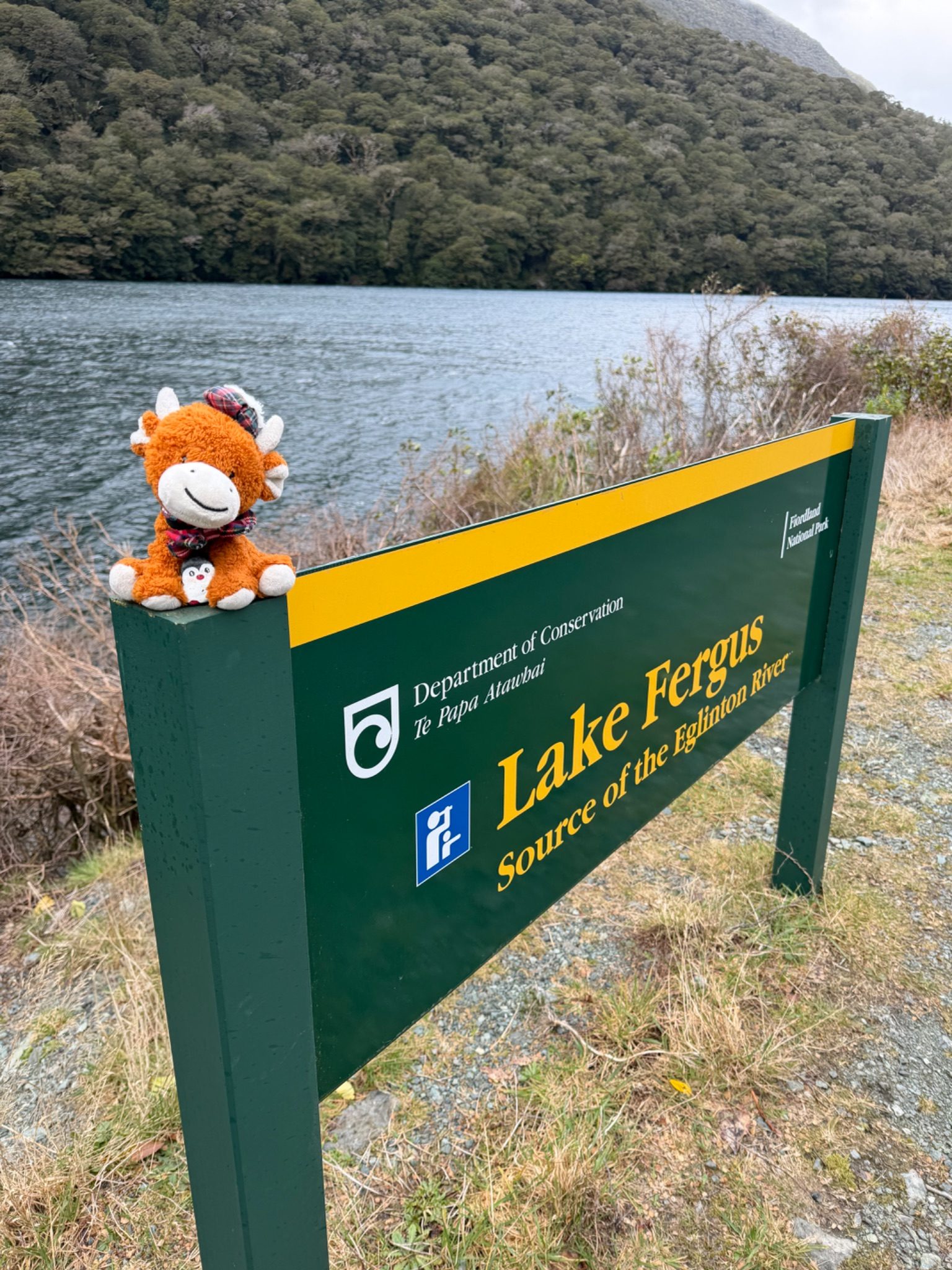 Hand-painted penguin stone #1389 hidden at Lake Fergus, Fiordland Community, New Zealand (photo 1 of 5)