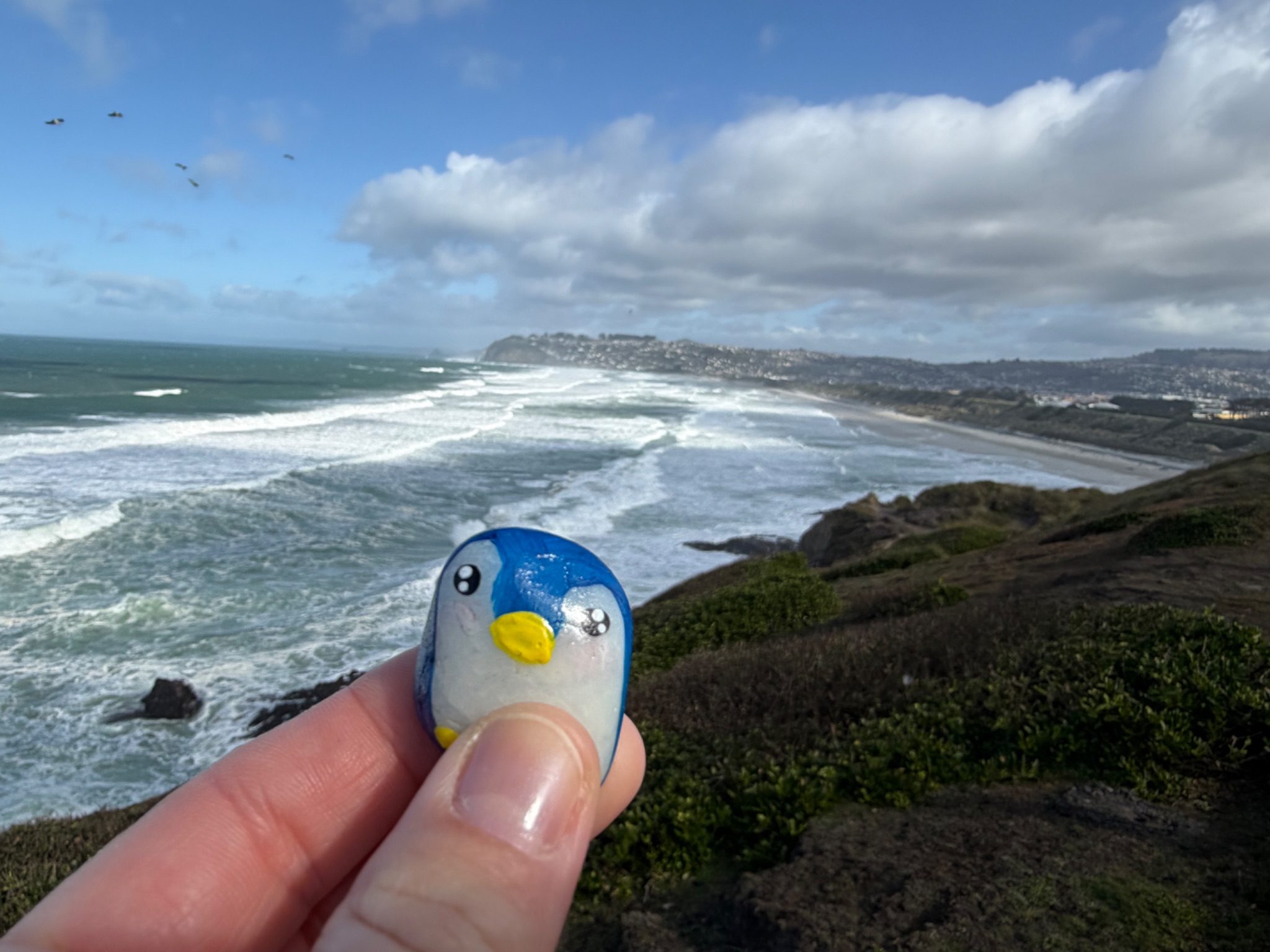 Hand-painted penguin stone #1391 hidden at Sir Leonard Wright Lookout, Dunedin, New Zealand (photo 1 of 5)