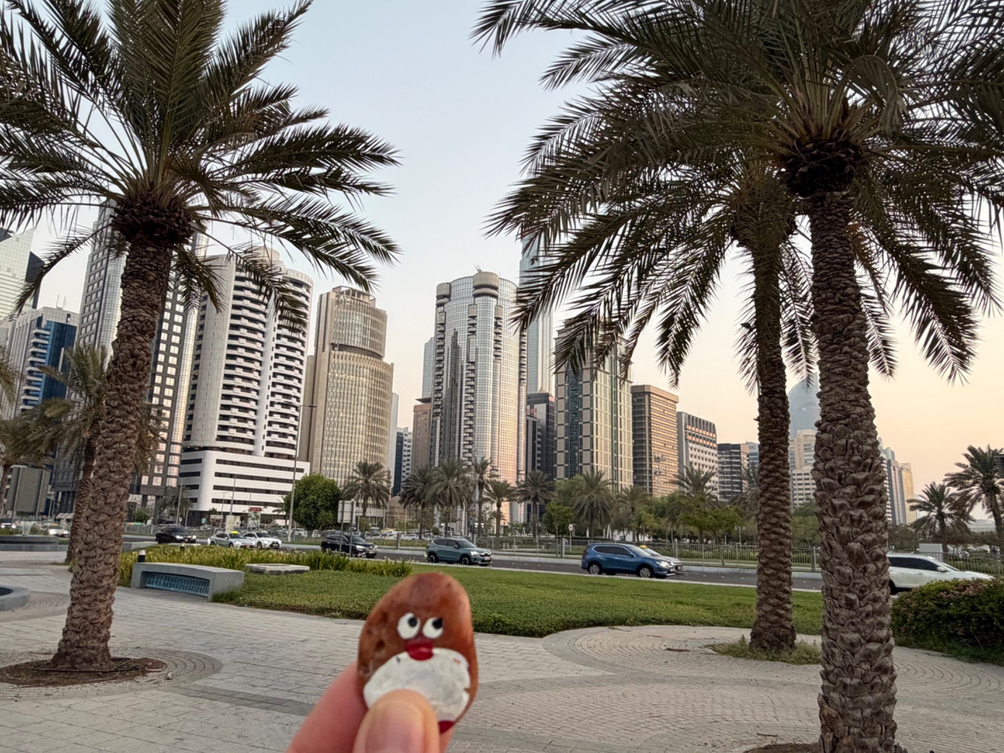 Hand-painted penguin stone #1426 hidden at Formal Park, Abu Dhabi, United Arab Emirates (photo 1 of 5)