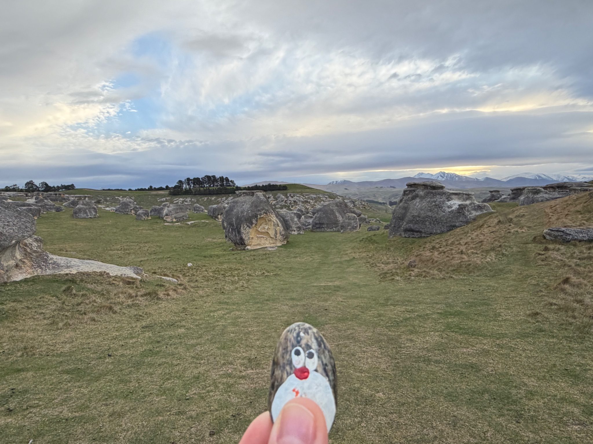Hand-painted penguin stone #1427 hidden at Elephant Rocks, Island Cliff, New Zealand (photo 1 of 5)