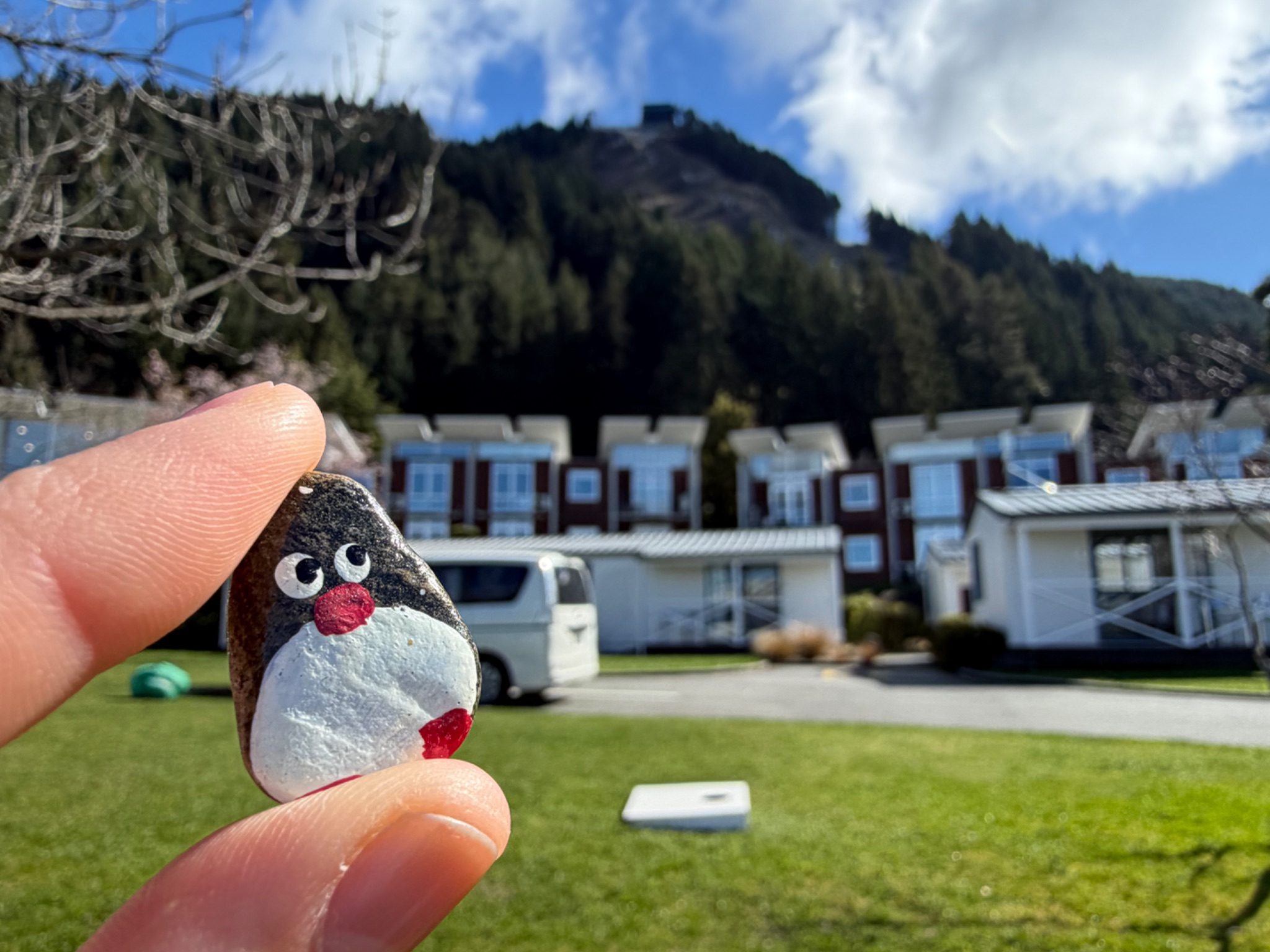 Hand-painted penguin stone #1433 hidden at Hampshire Holiday Parks, Queenstown, New Zealand (photo 1 of 5)
