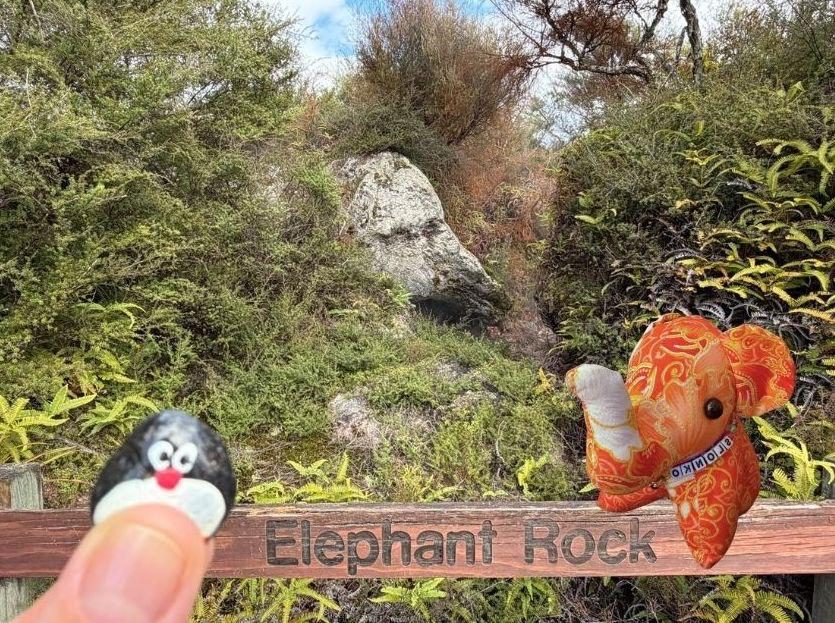 Hand-painted penguin stone #1454 hidden at Orakei Korako Geothermal Park & Cave, Lake Ohakuri, New Zealand (photo 1 of 5)