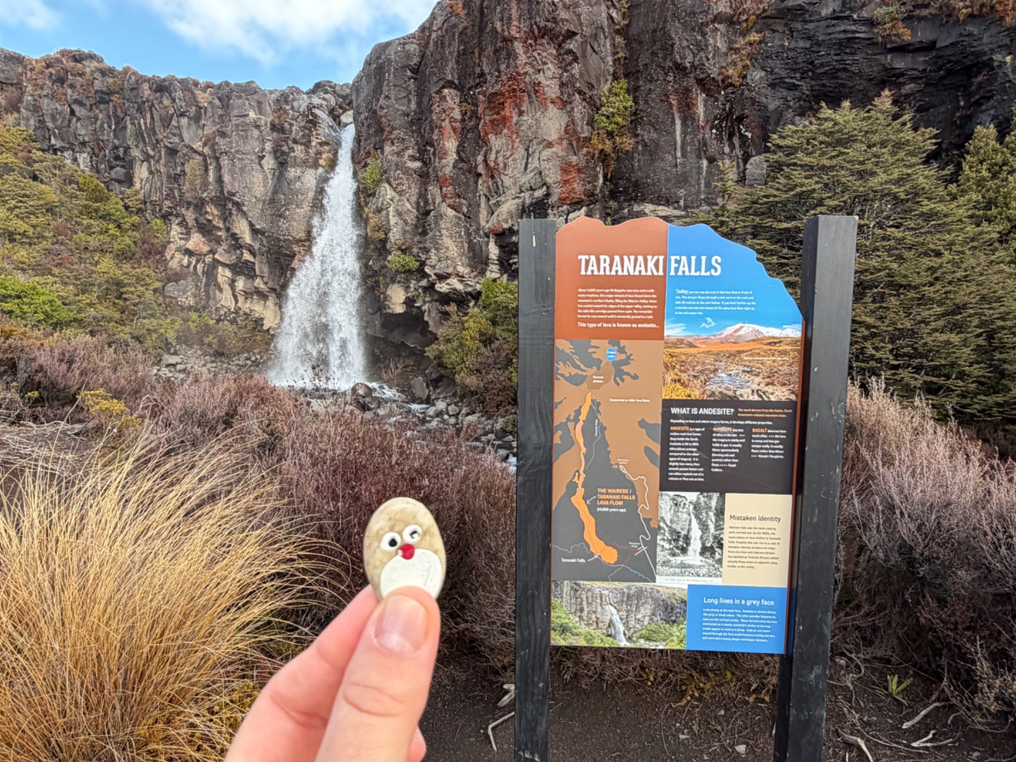 Hand-painted penguin stone #1456 hidden at Taranaki Falls, Tongariro National Park, New Zealand (photo 1 of 4)