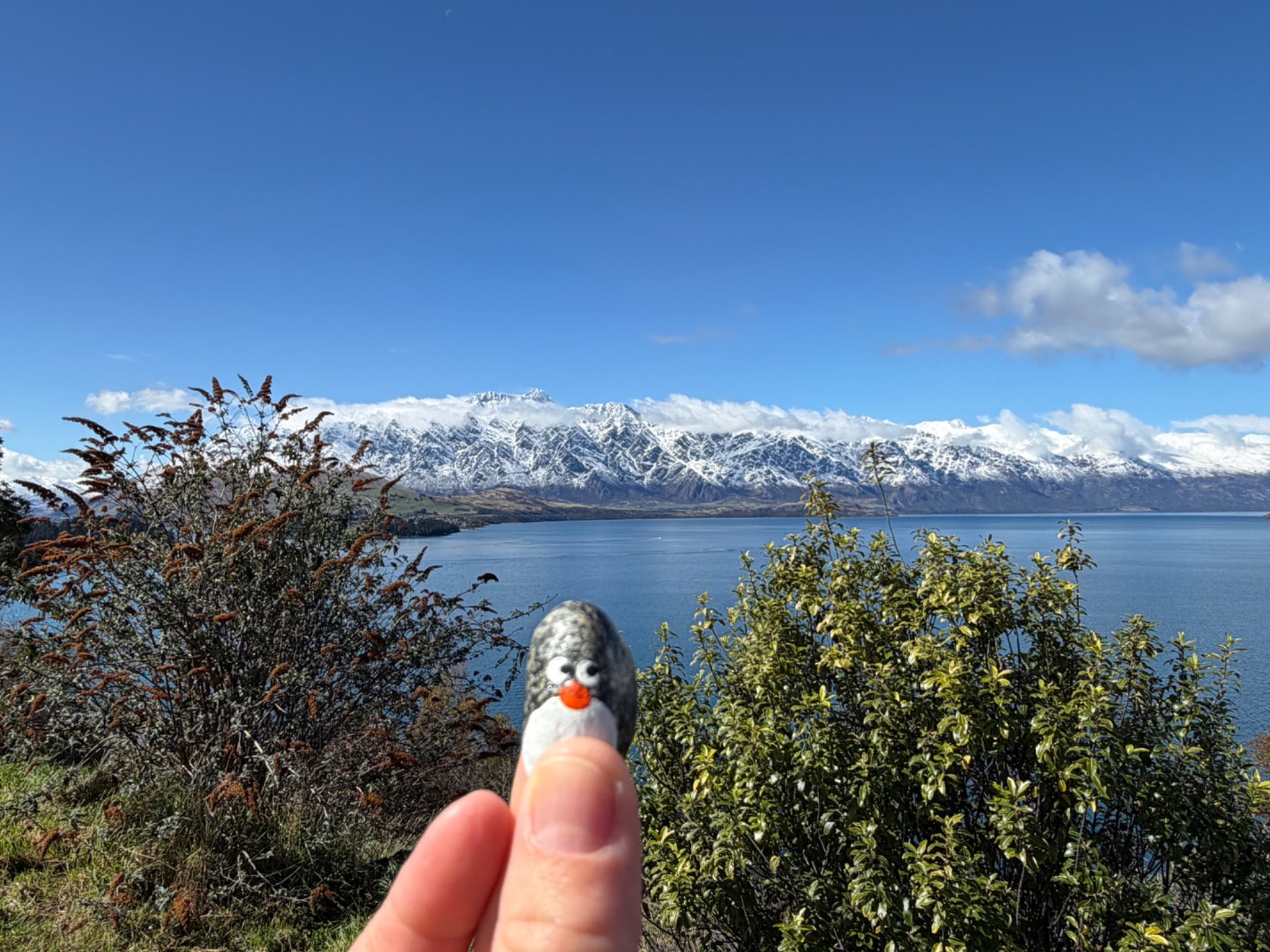 Hand-painted penguin stone #1607 hidden at Gilly's Point, Queenstown, New Zealand (photo 1 of 5)