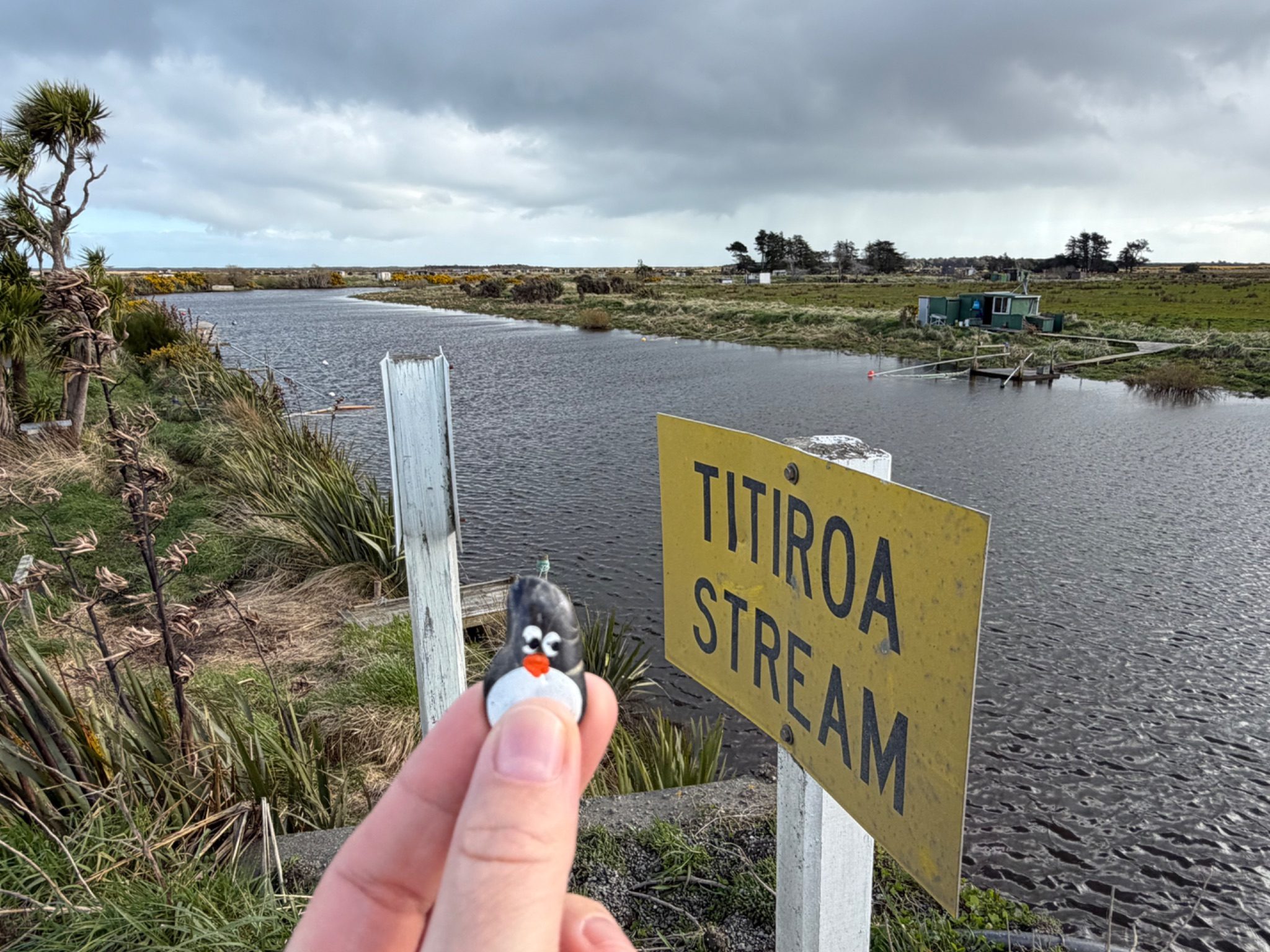 Hand-painted penguin stone #1612 hidden at Fishing spot, Waihopai Toetoe Community, New Zealand (photo 1 of 4)