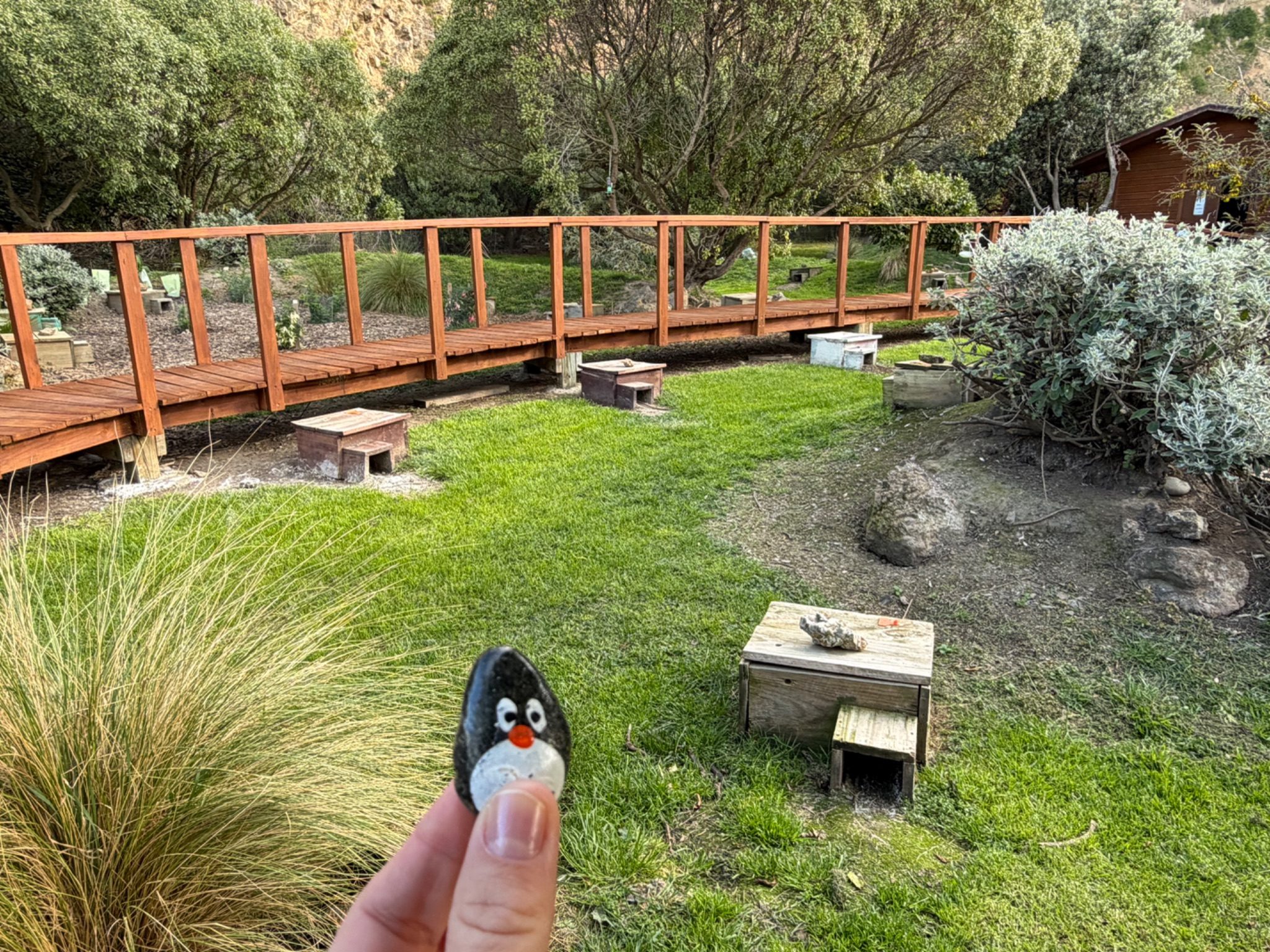 Hand-painted penguin stone #1614 hidden at Oamaru Penguins, Oamaru, New Zealand (photo 1 of 5)