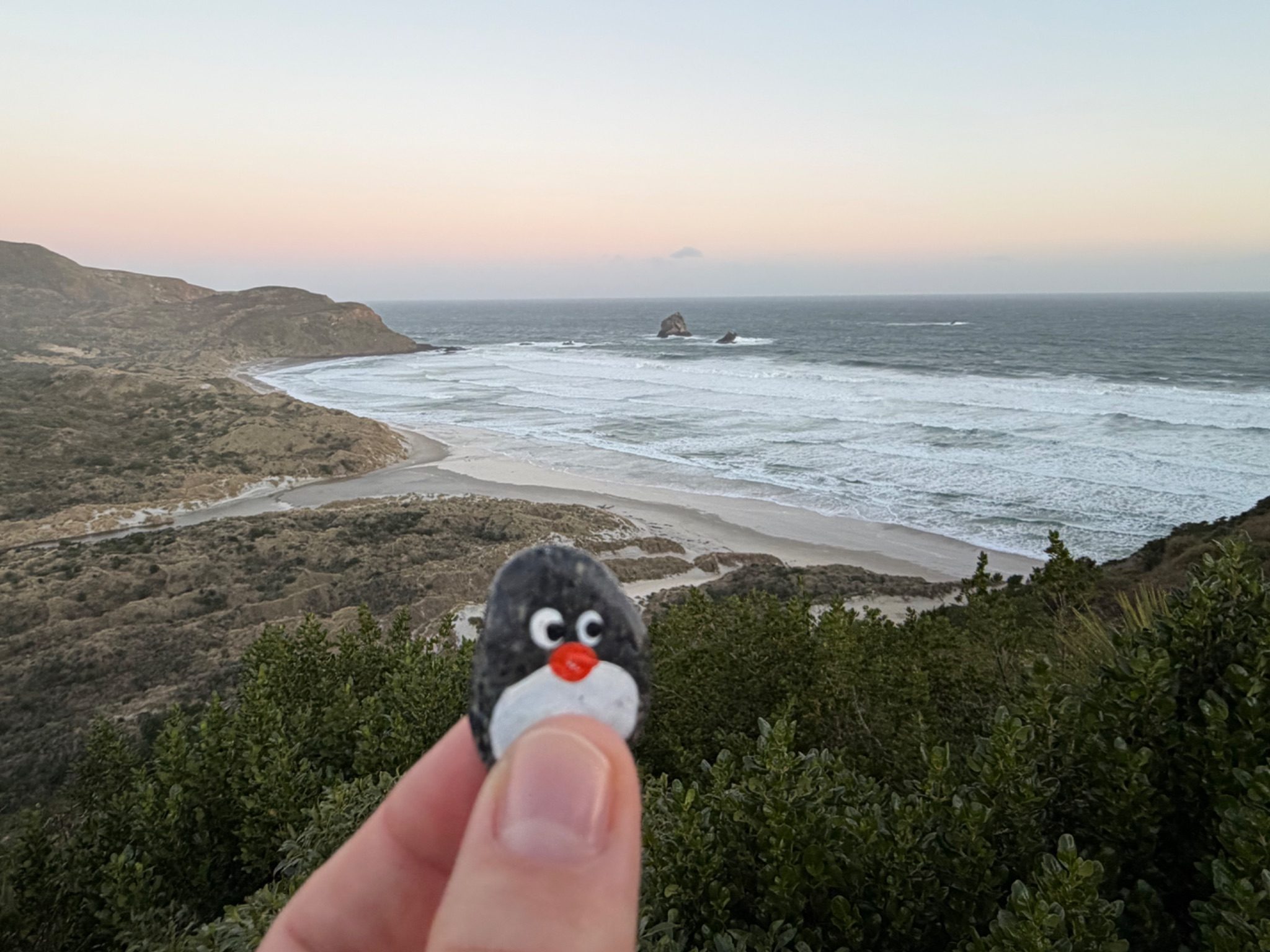 Hand-painted penguin stone #1624 hidden at Sandfly Bay Wildlife Refuge, Dunedin, New Zealand (photo 1 of 5)