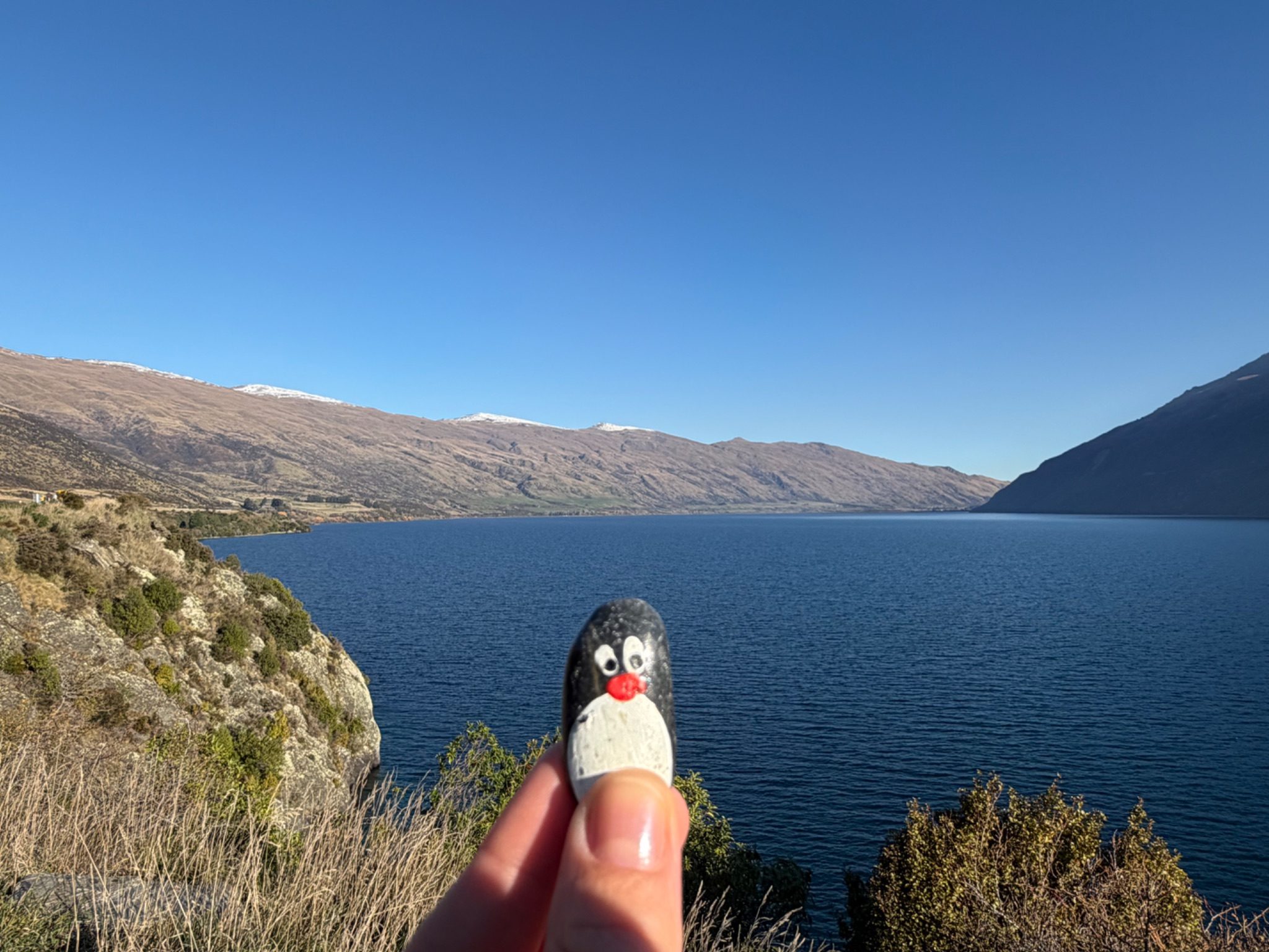Hand-painted penguin stone #2167 hidden at Devil's Staircase Lookout Point, Lake Wakatipu, New Zealand (photo 1 of 5)