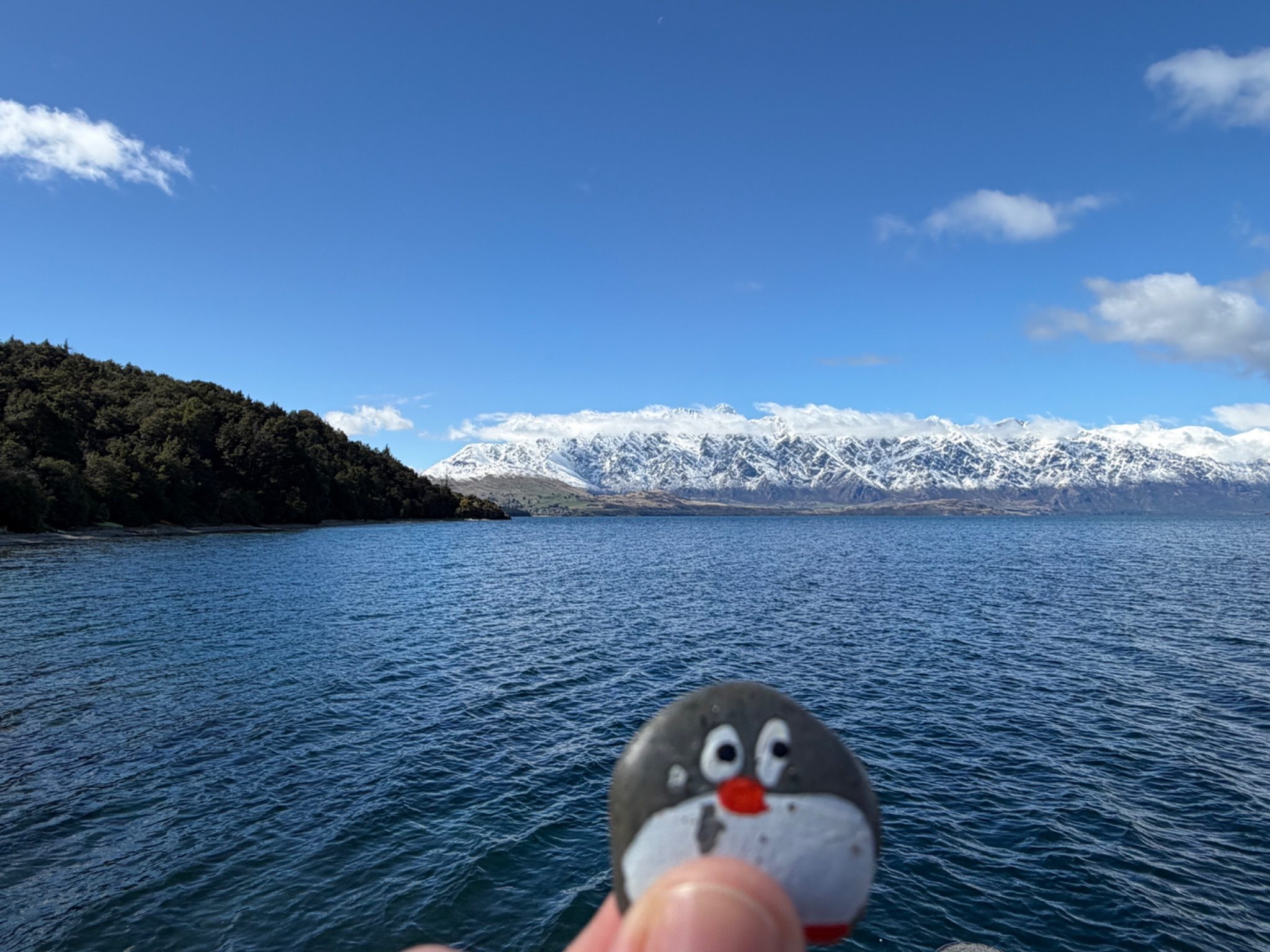 Hand-painted penguin stone #2315 hidden at Sunshine Bay Beach, Queenstown, New Zealand (photo 1 of 4)