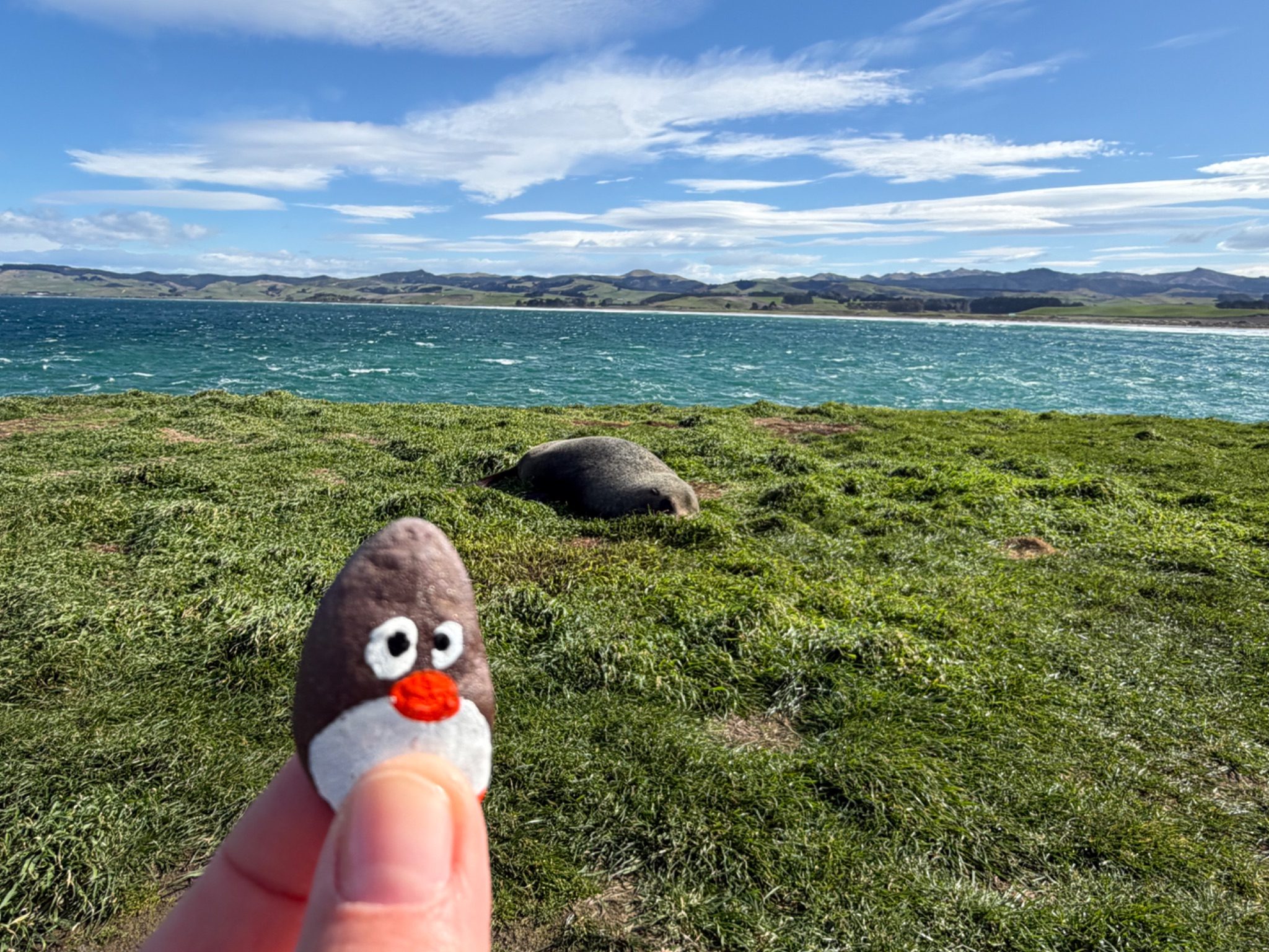 Hand-painted penguin stone #2321 hidden at Katiki Point, Katiki Point, New Zealand (photo 1 of 5)