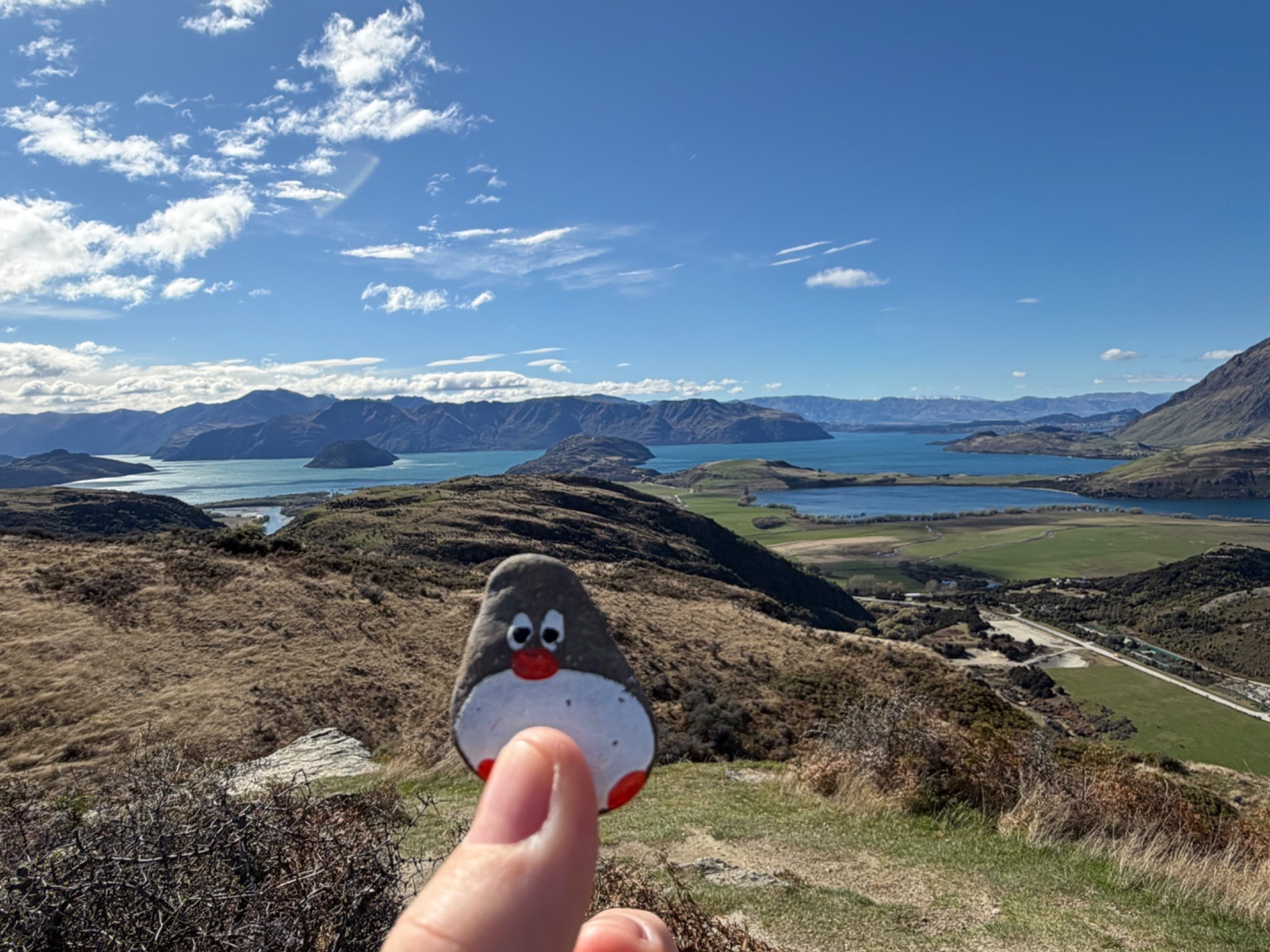 Hand-painted penguin stone #2322 hidden at Rocky Mountain Lake Wanaka Viewpoint, Wanaka, New Zealand (photo 1 of 4)