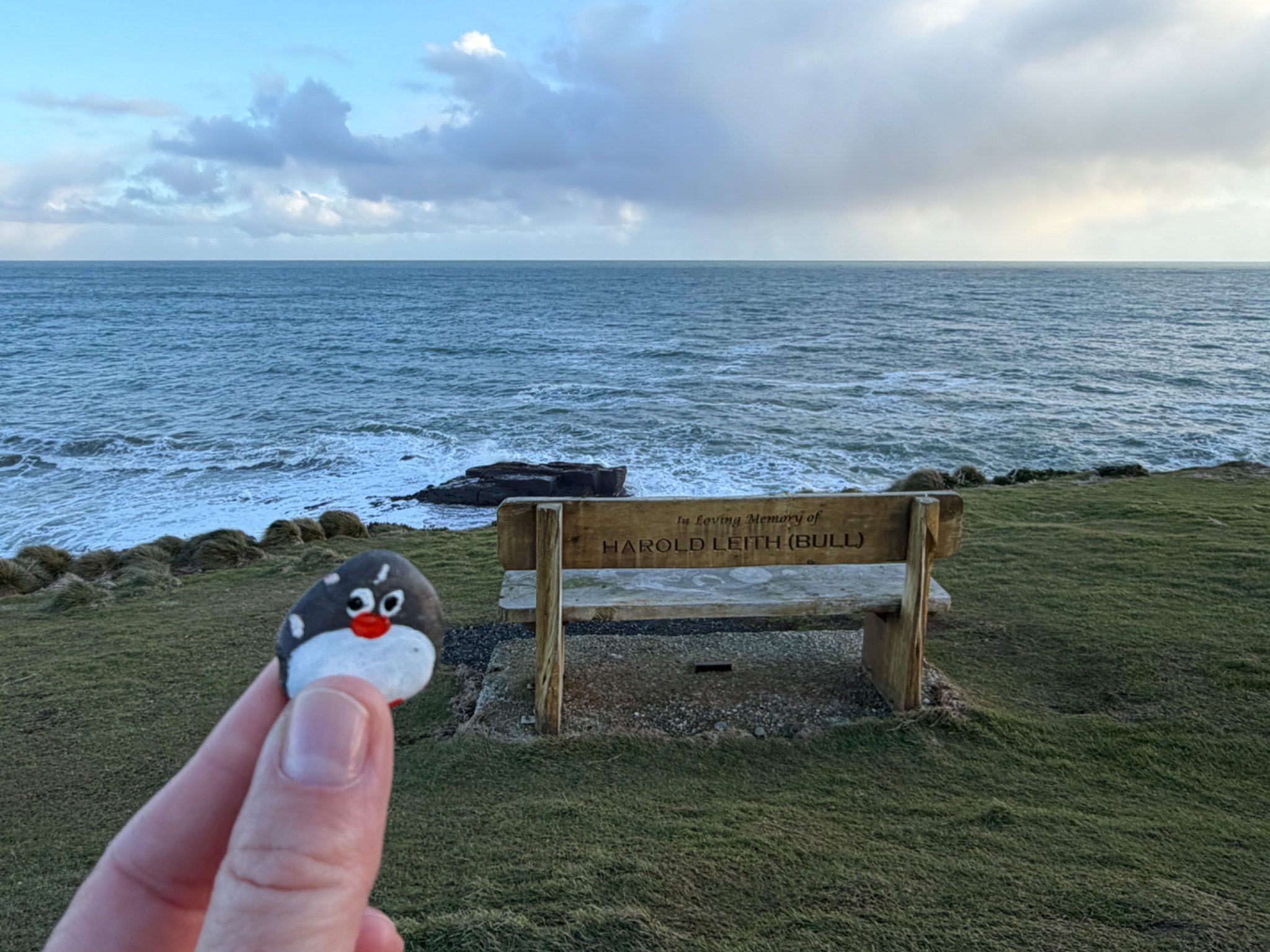 Hand-painted penguin stone #2328 hidden at The Headland, Curio Bay, New Zealand (photo 1 of 4)