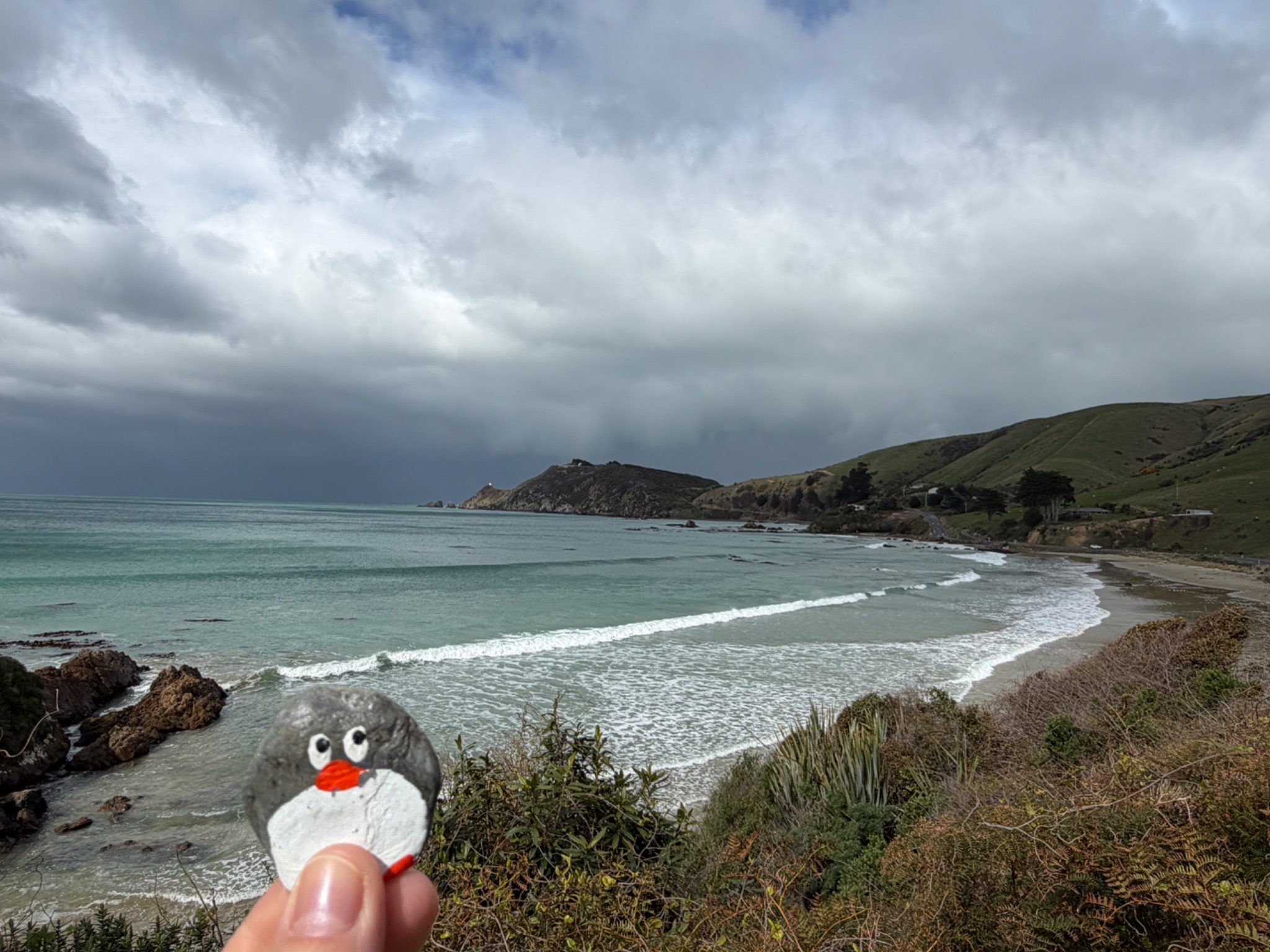 Hand-painted penguin stone #2331 hidden at Tirohanga Picnic Area, Tirohanga, New Zealand (photo 1 of 5)