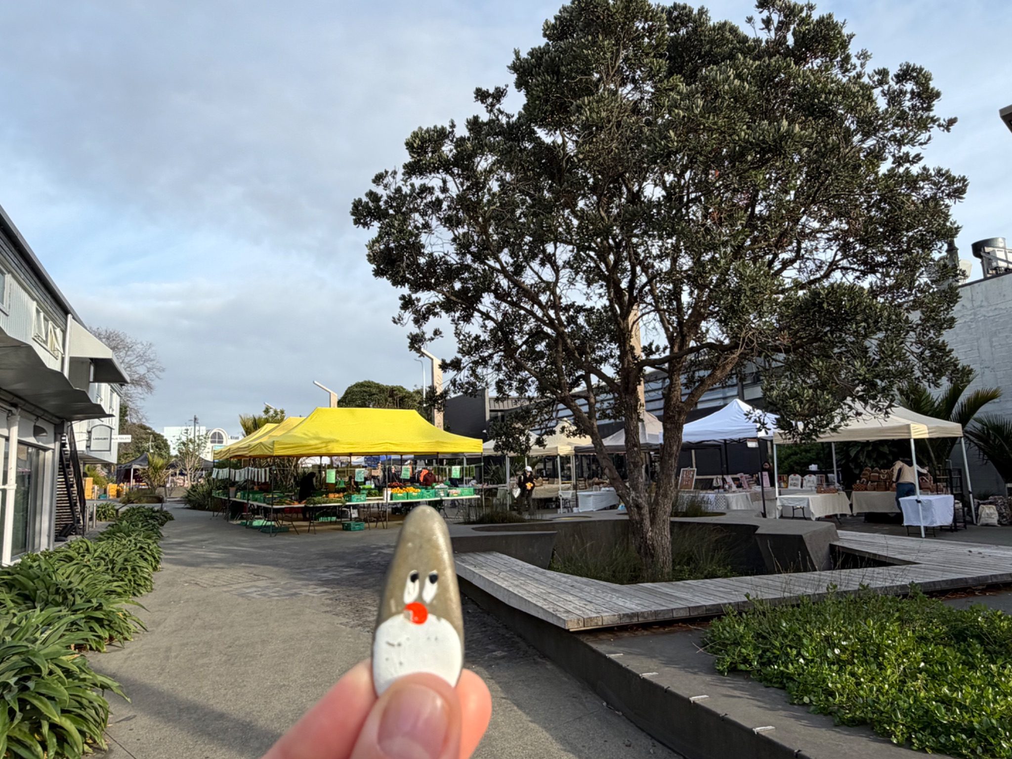 Hand-painted penguin stone #2342 hidden at Takapuna Beach Sunday Market, Devonport-Takapuna, Auckland, New Zealand (photo 1 of 5)