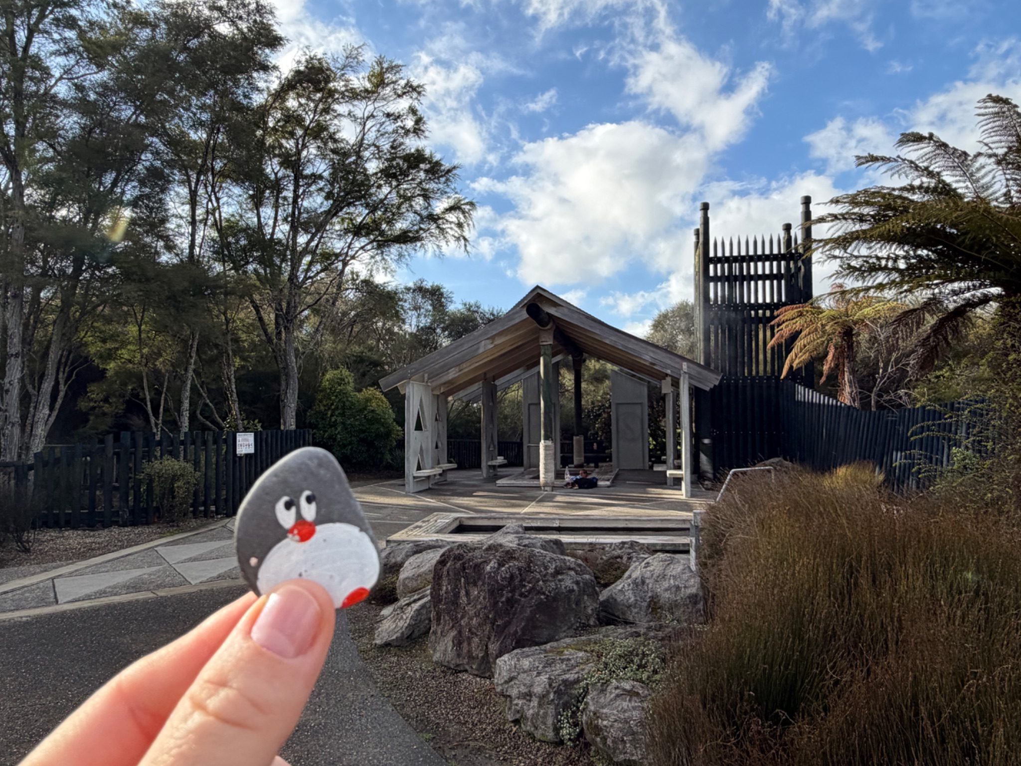 Hand-painted penguin stone #2343 hidden at Kuirau Park - Mud Pools, Rotorua, New Zealand (photo 1 of 4)