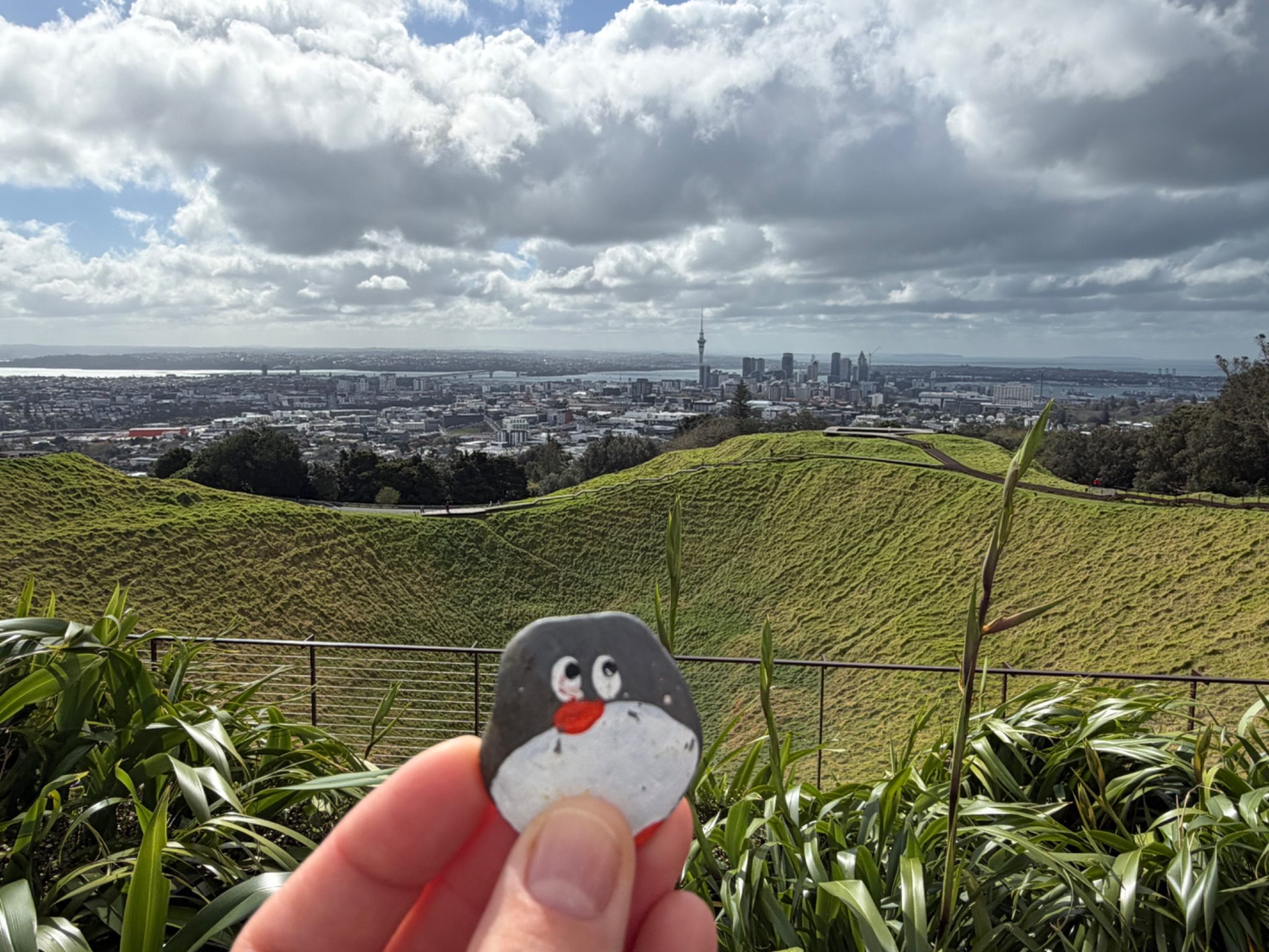 Hand-painted penguin stone #2345 hidden at Maungawhau / Mount Eden, Albert-Eden, Auckland, New Zealand (photo 1 of 5)
